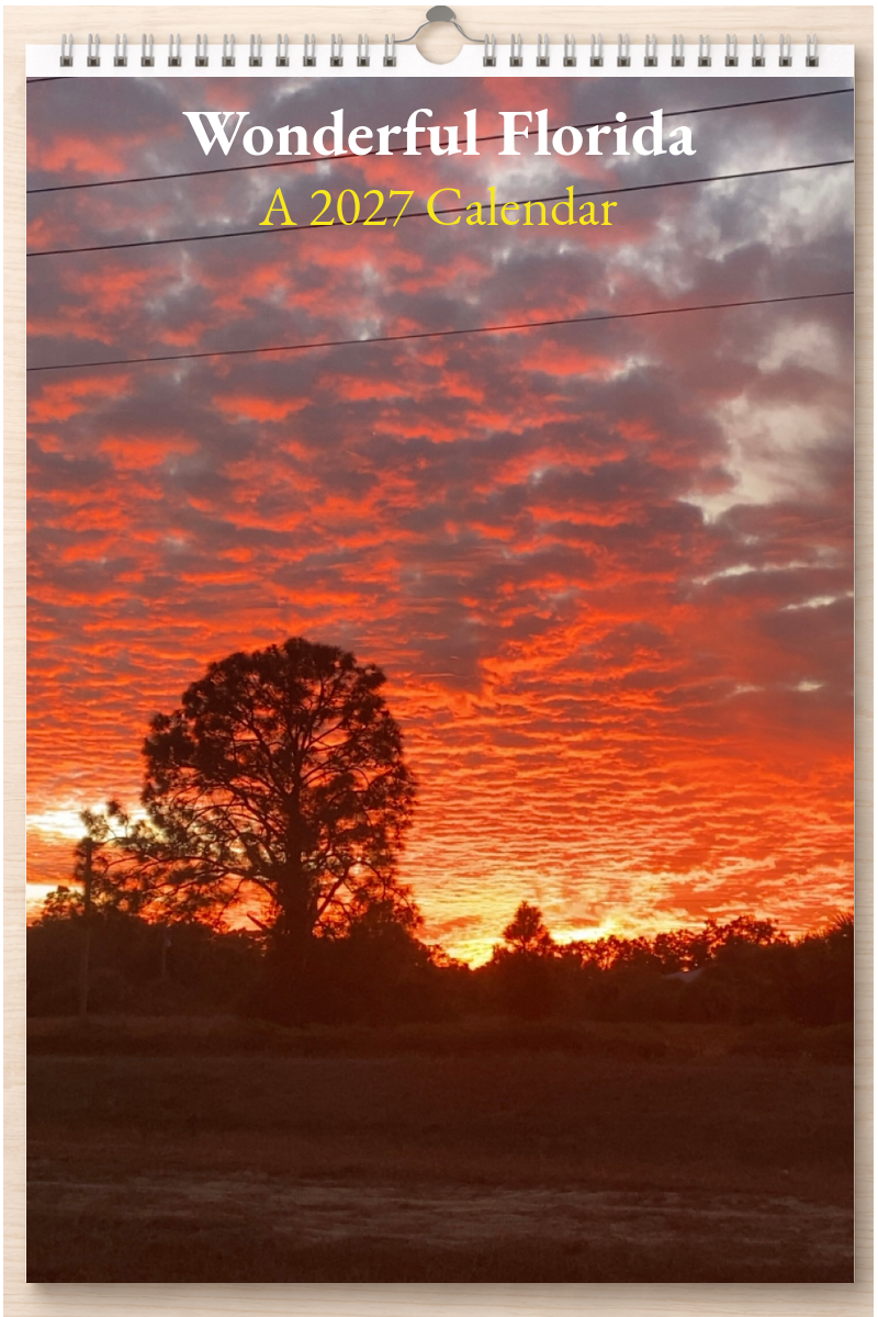 Wonderful Florida: A 2027 Calendar