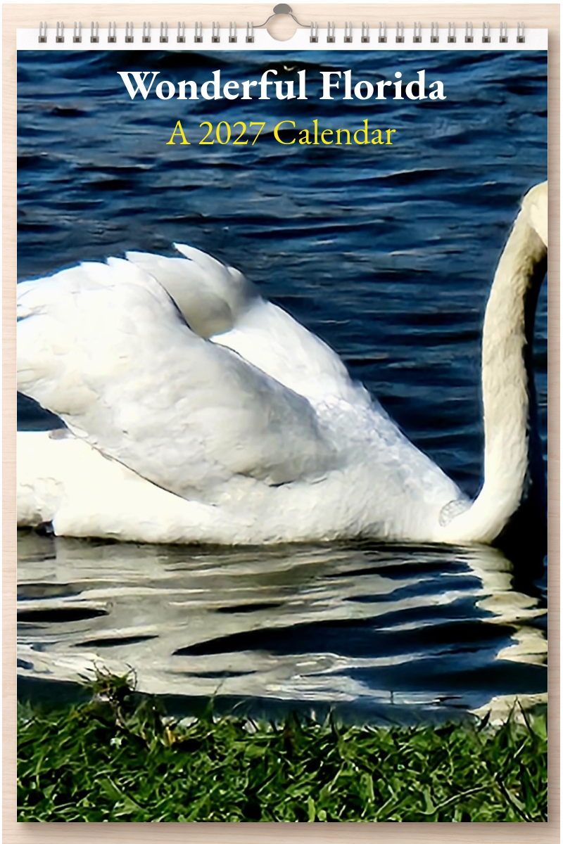Wonderful Florida: A 2027 Calendar