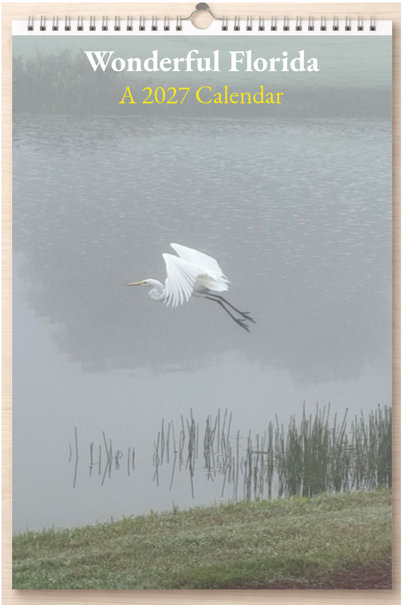 Wonderful Florida: A 2027 Calendar
