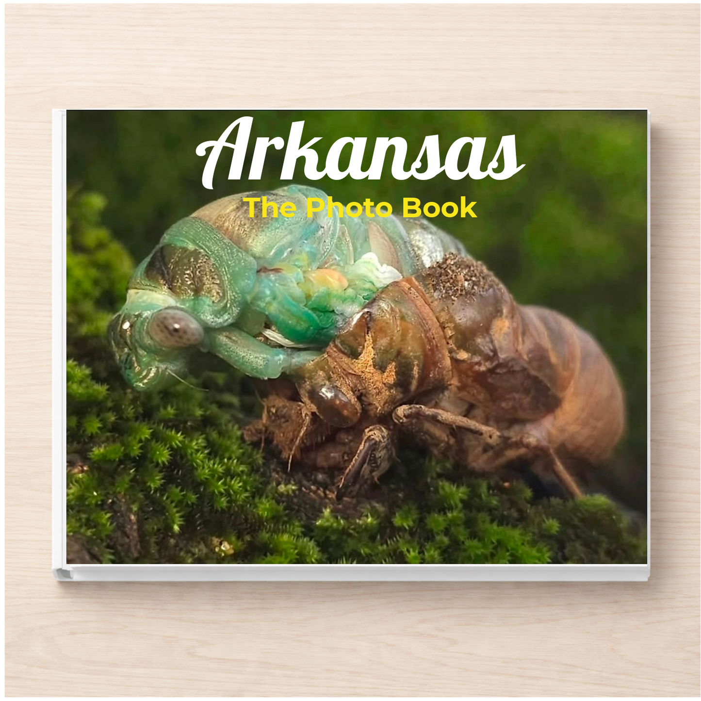 Arkansas: The Photo Book