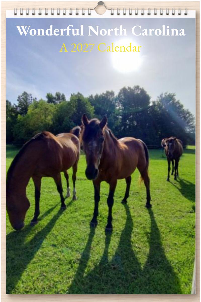 Wonderful North Carolina: A 2027 Calendar
