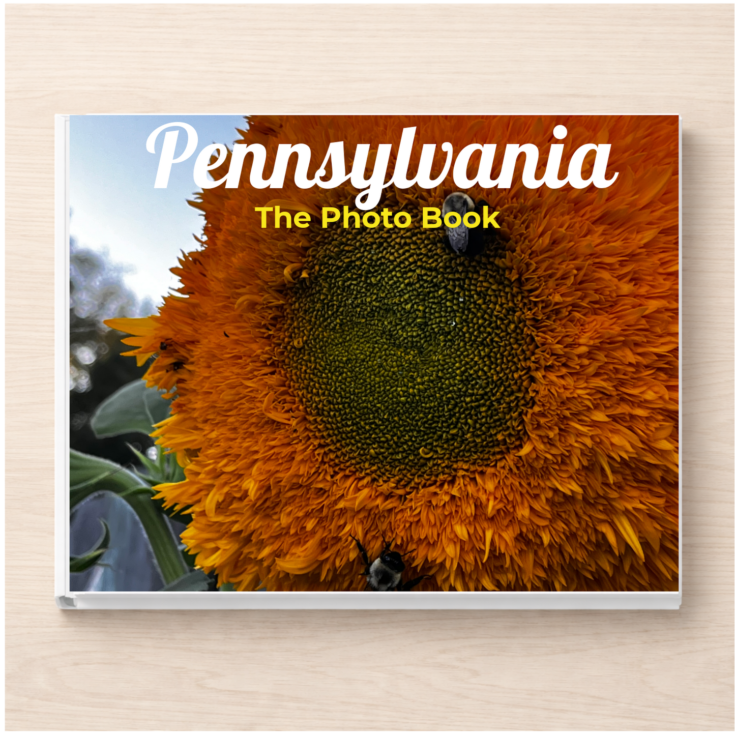Pennsylvania: The Photo Book