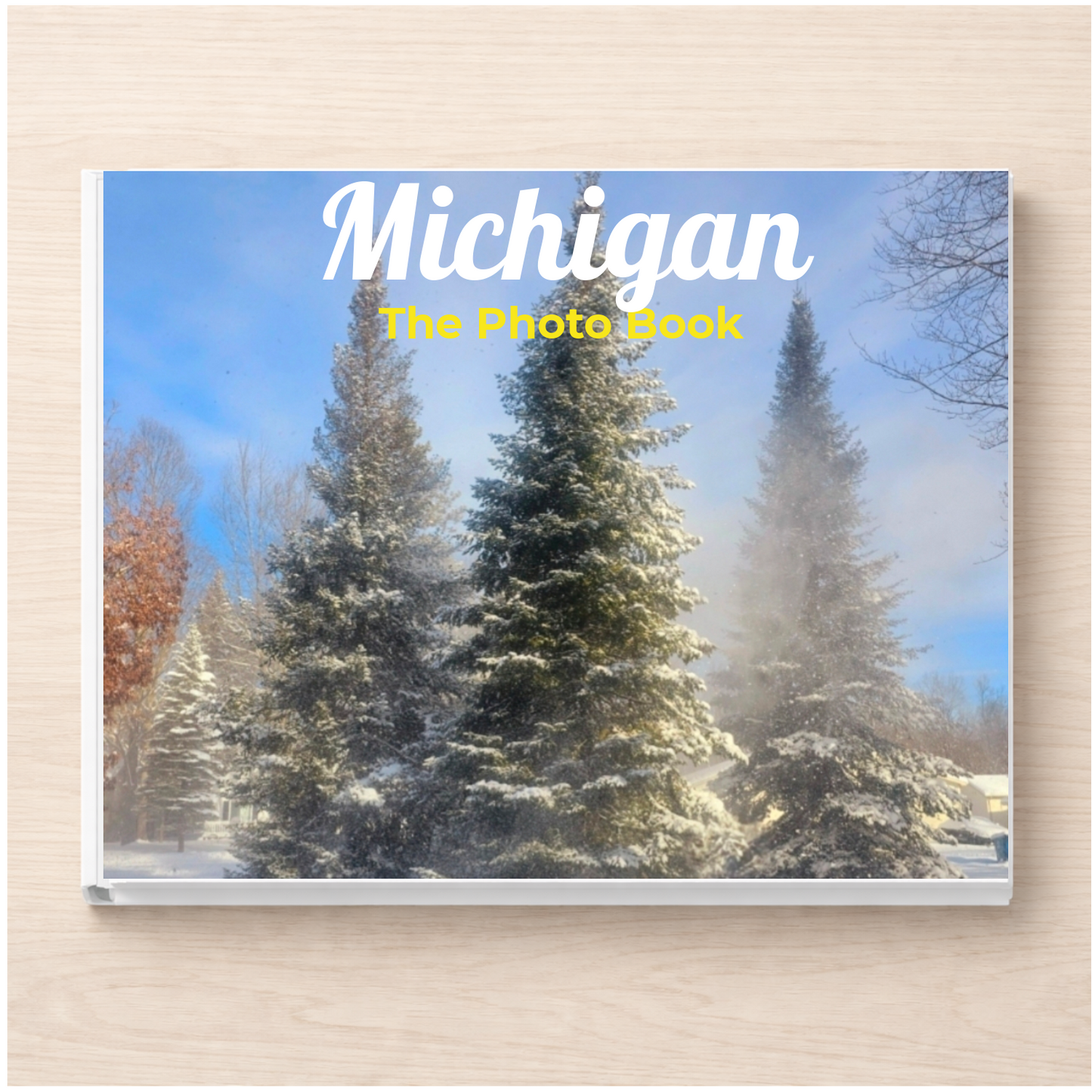 Michigan: The Photo Book