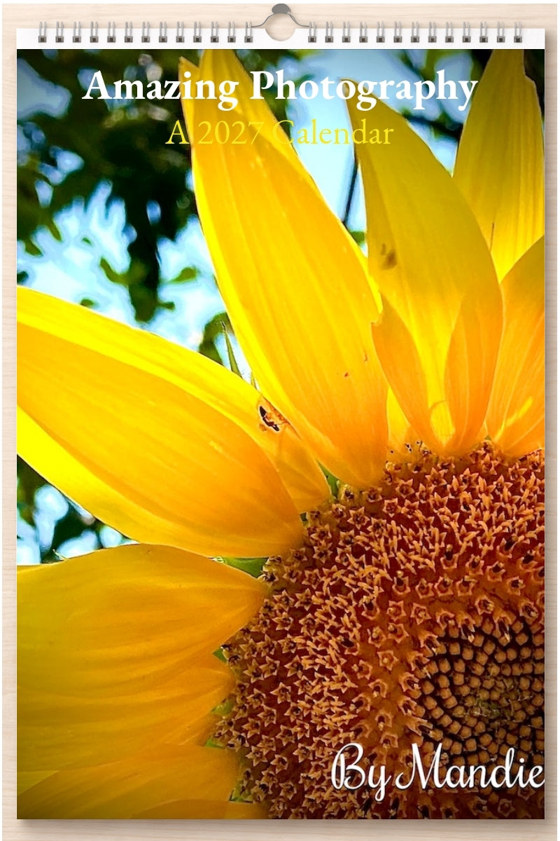 Amazing Photography: A 2027 Calendar