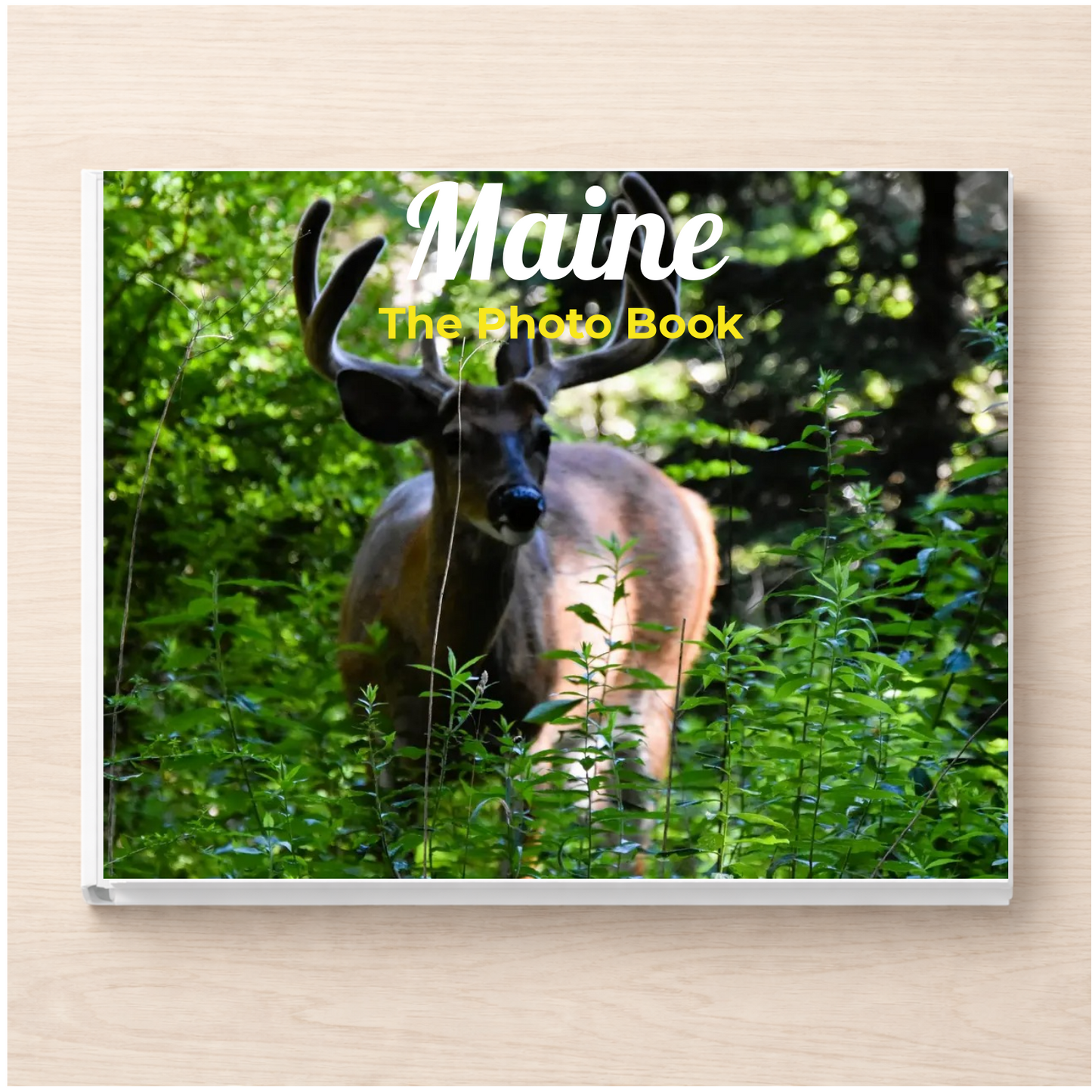 Maine: The Photo Book