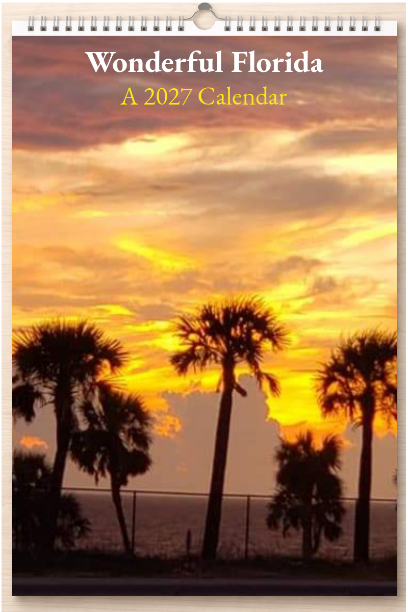 Wonderful Florida: A 2027 Calendar