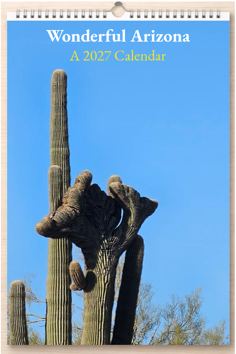 Wonderful Arizona: A 2027 Calendar