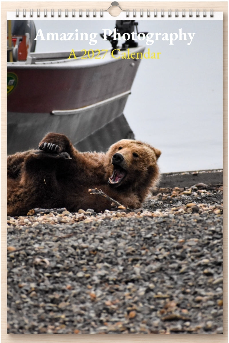 Amazing Photography: A 2027 Calendar