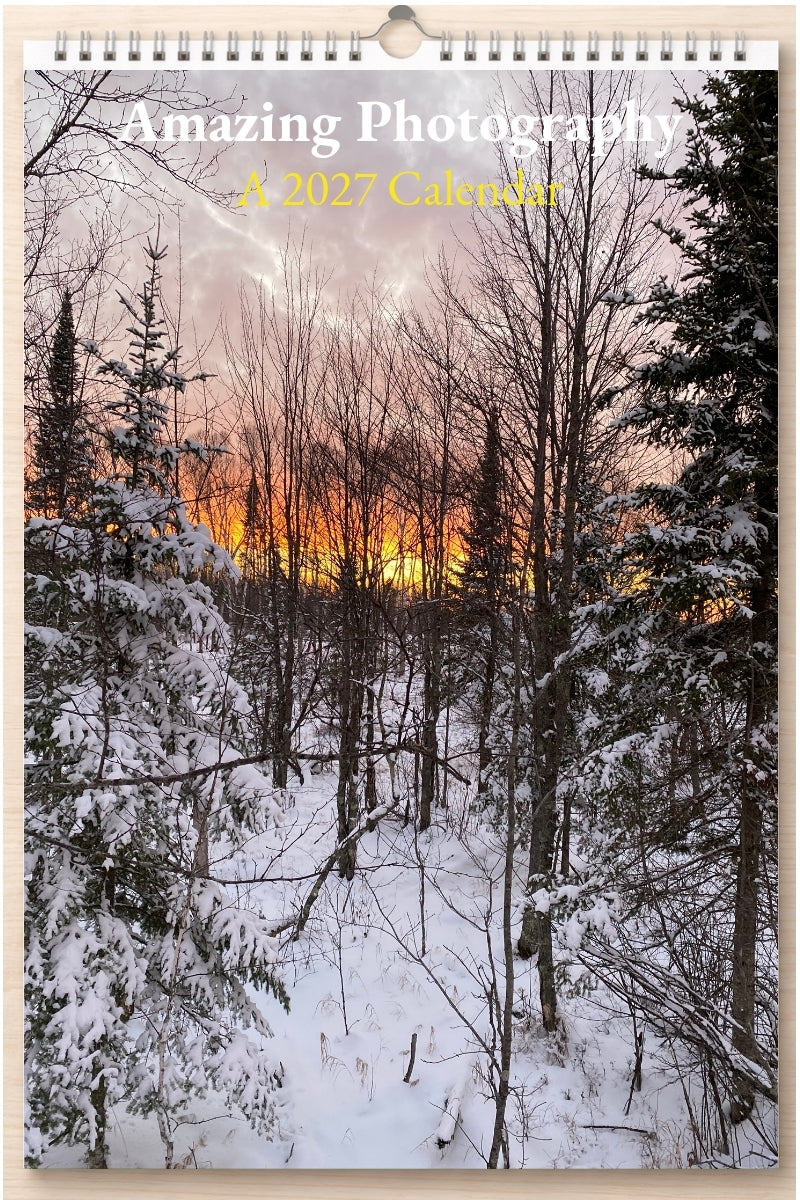 Amazing Photography: A 2027 Calendar