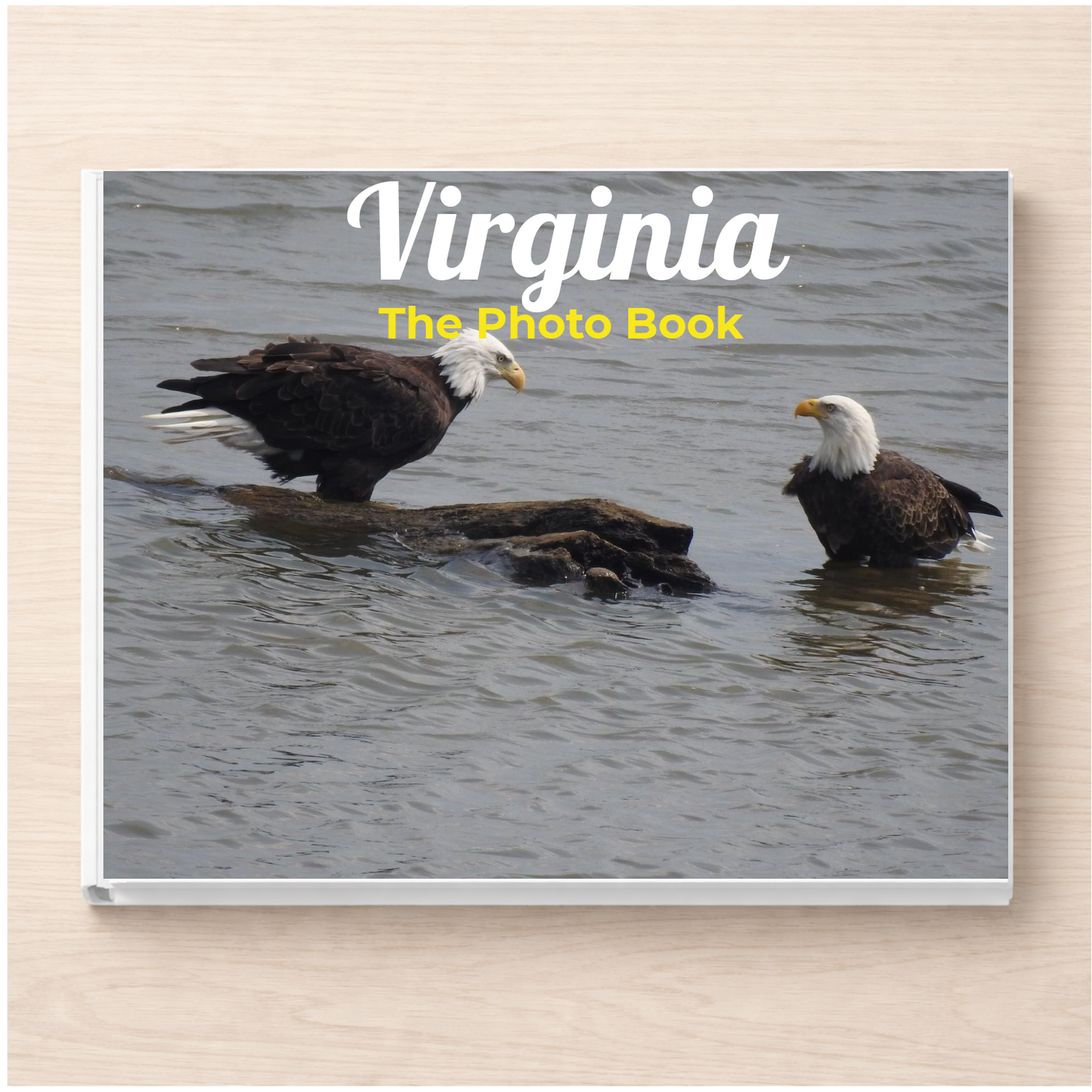 Virginia: The Photo Book