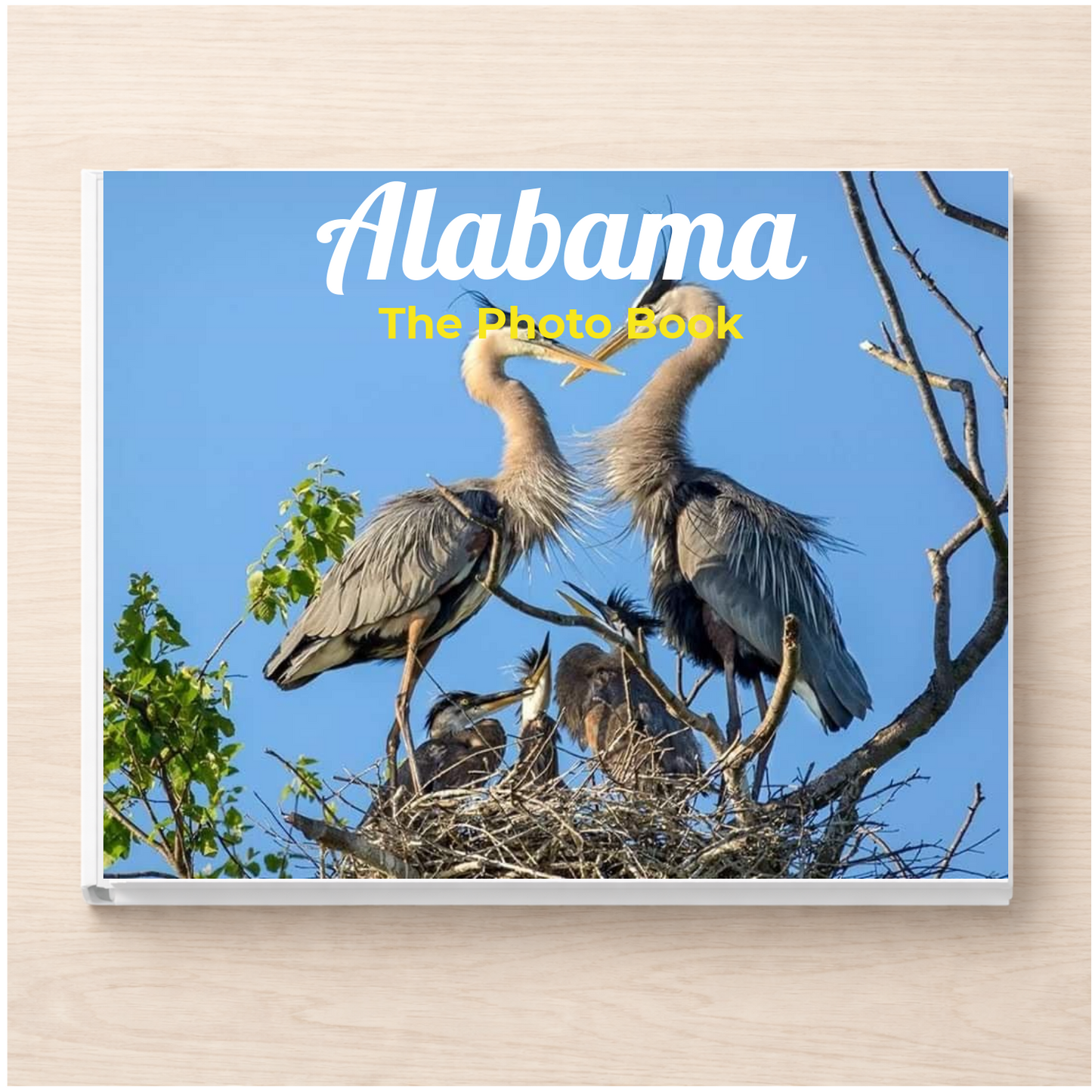 Alabama: The Photo Book