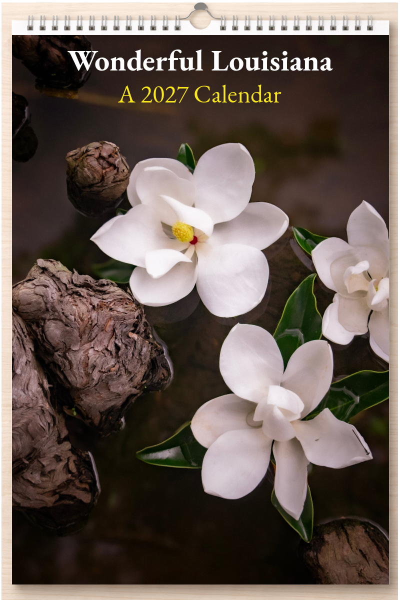 Wonderful Louisiana: A 2027 Calendar