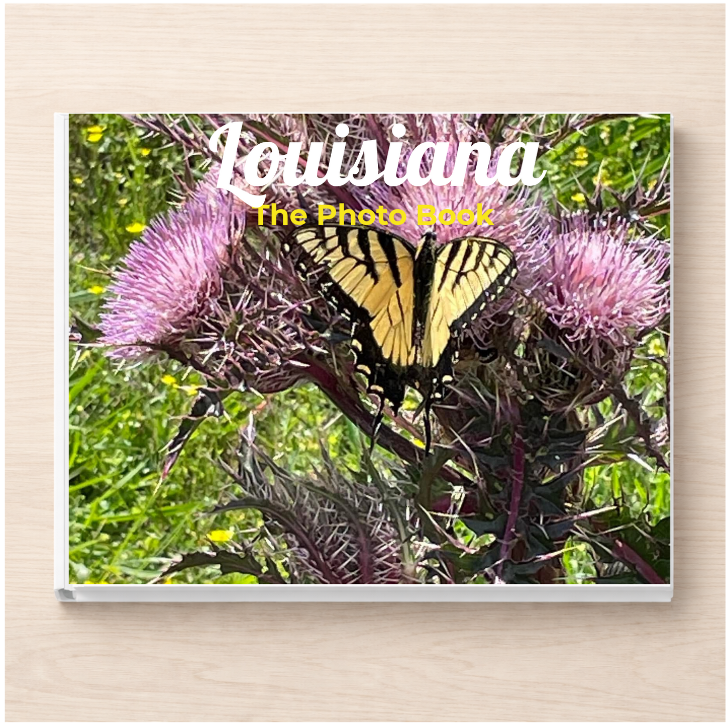 Louisiana: The Photo Book