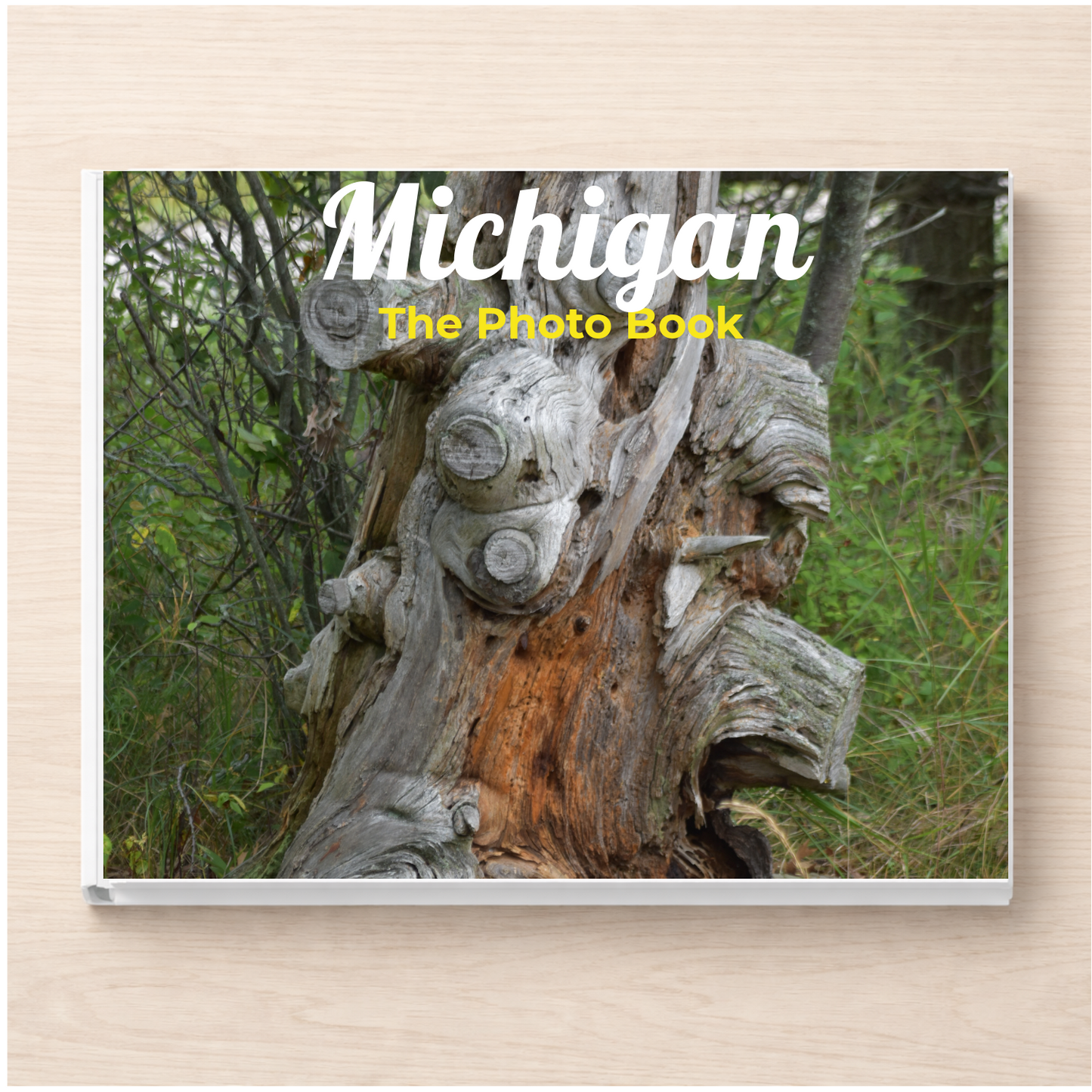 Michigan: The Photo Book