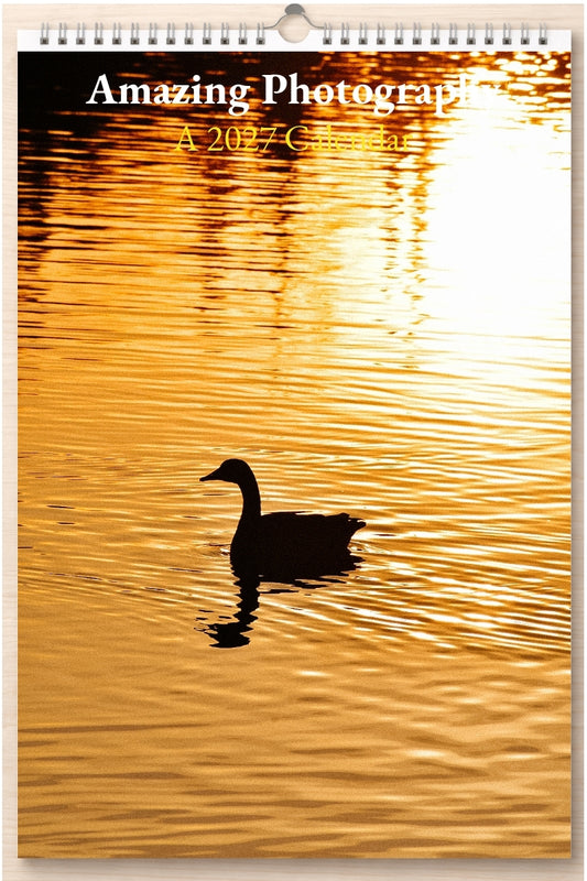 Amazing Photography: A 2027 Calendar