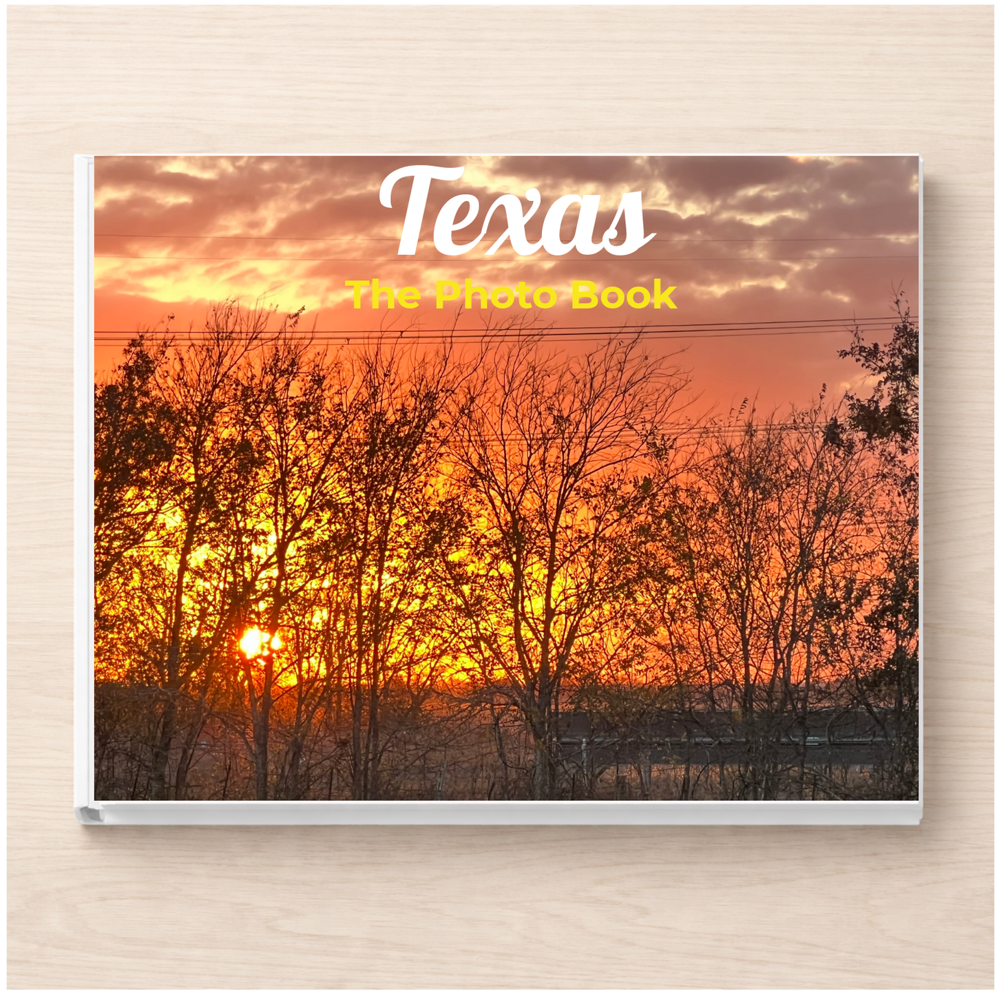 Texas: The Photo Book