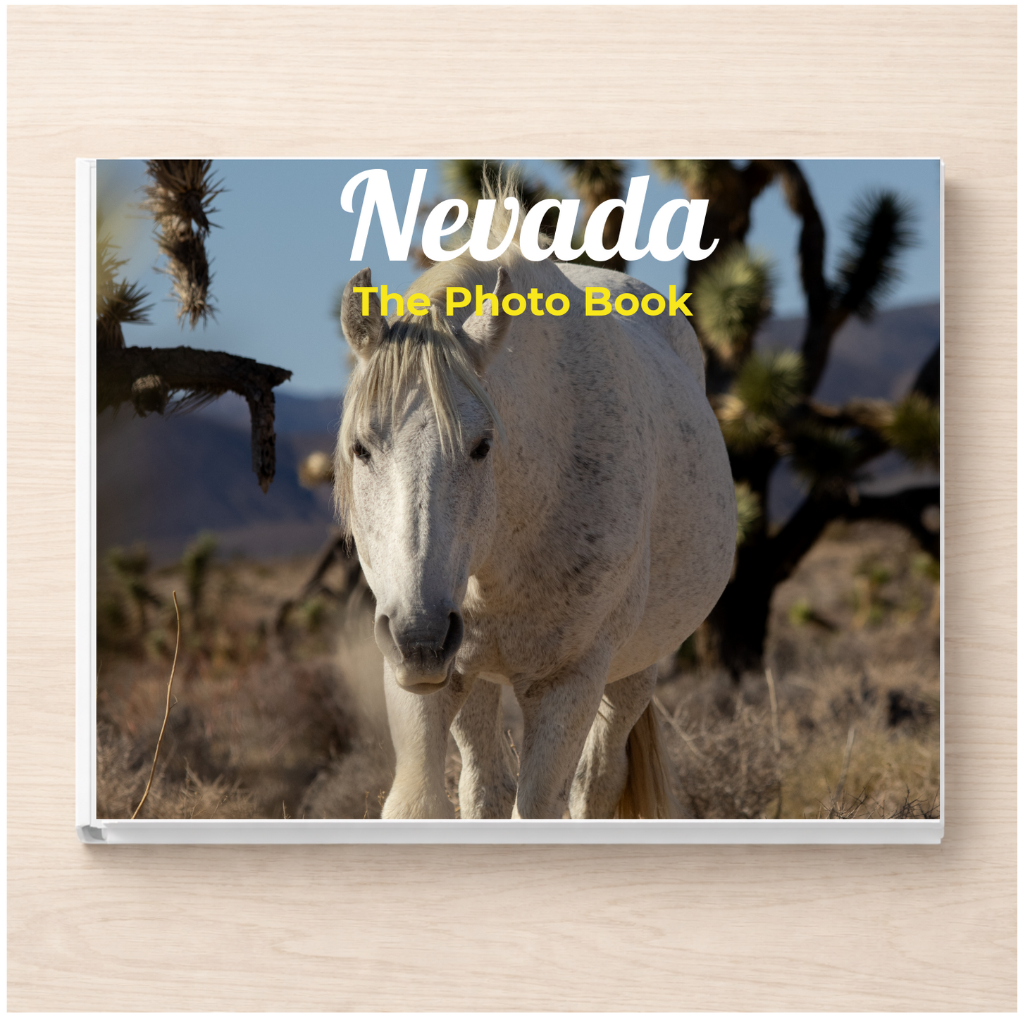 Nevada: The Photo Book