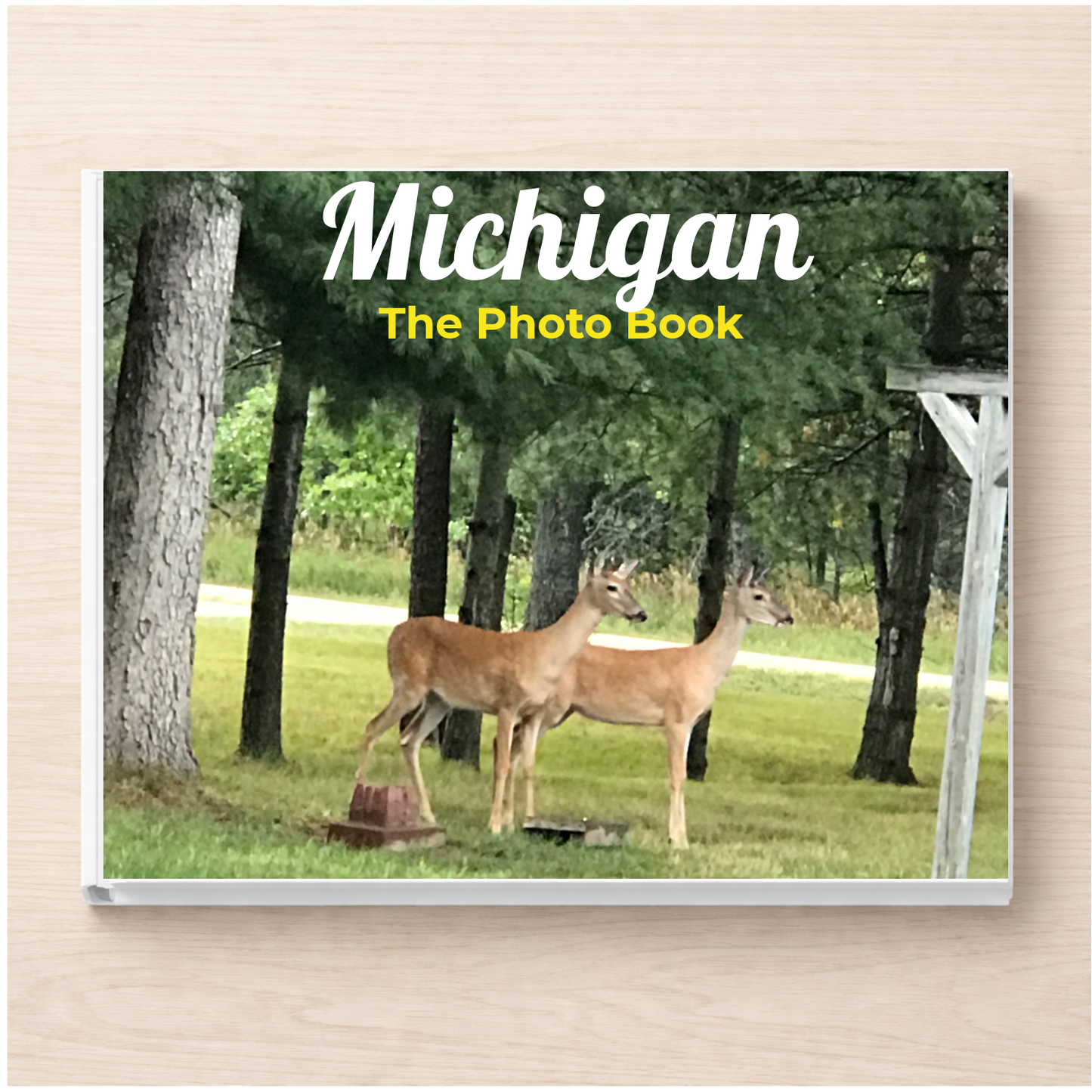 Michigan: The Photo Book