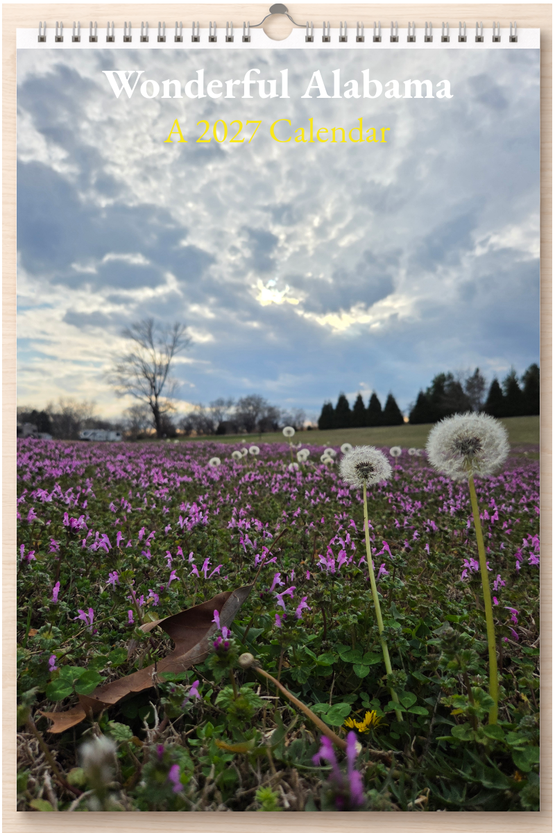 Wonderful Alabama: A 2027 Calendar