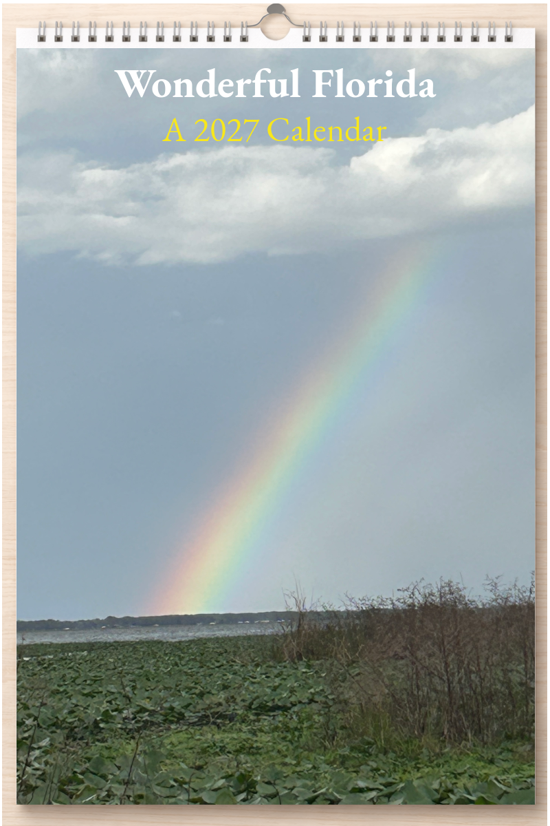 Wonderful Florida: A 2027 Calendar