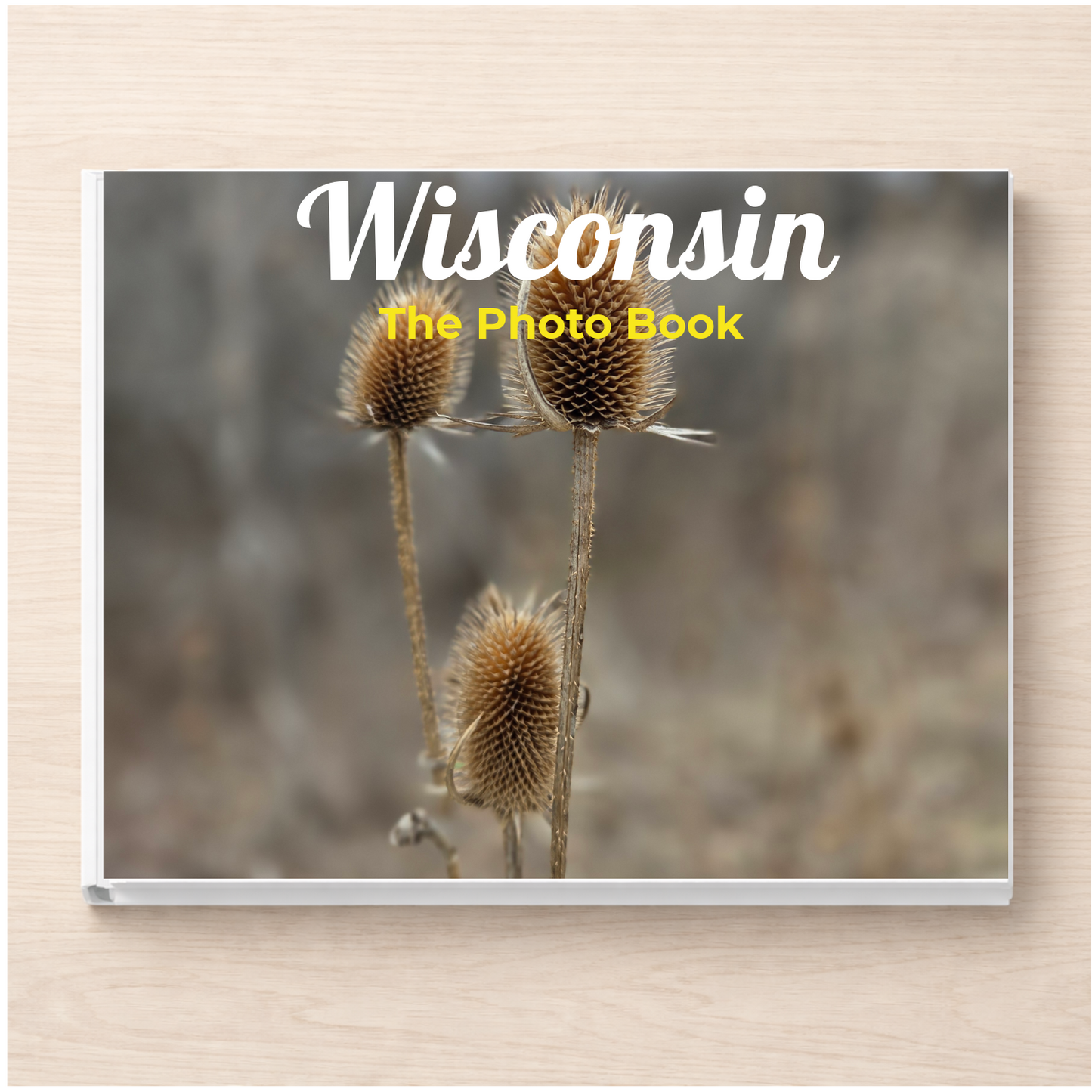 Wisconsin: The Photo Book