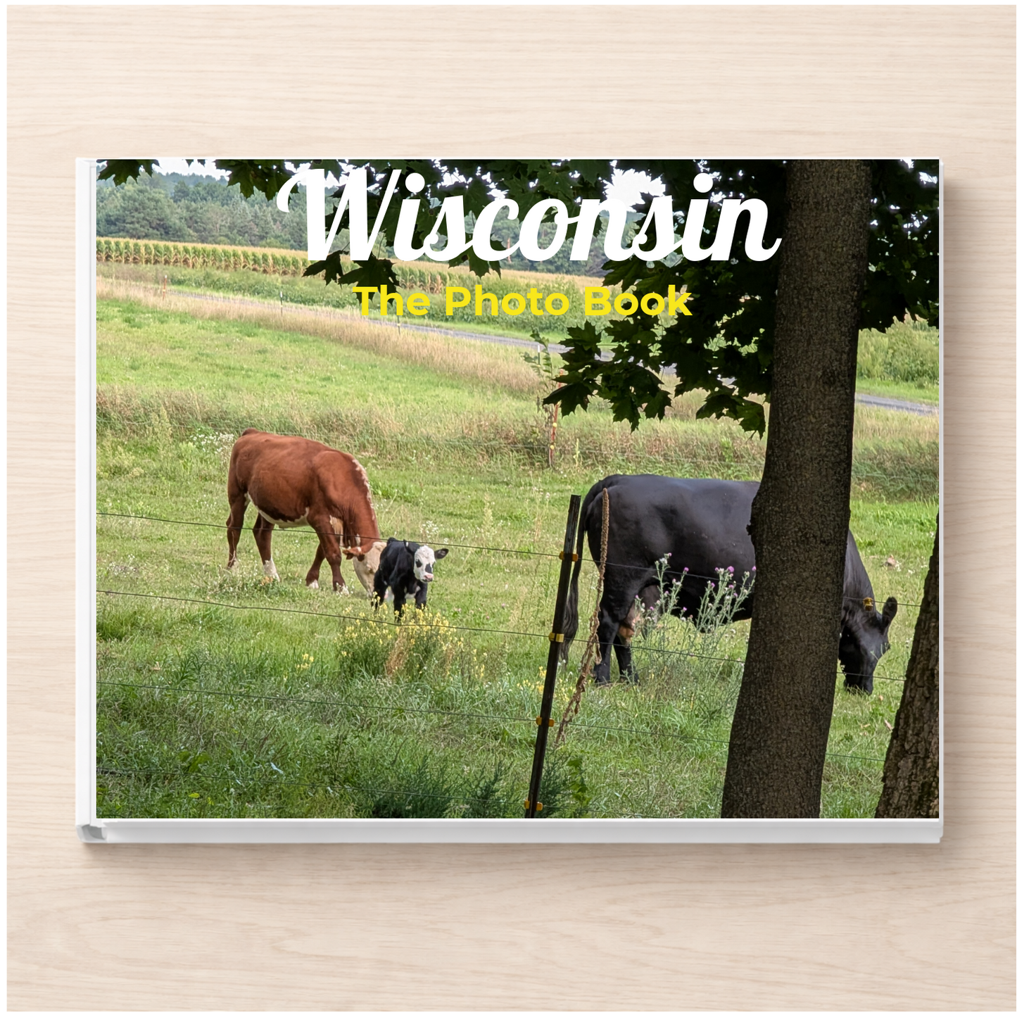 Wisconsin: The Photo Book