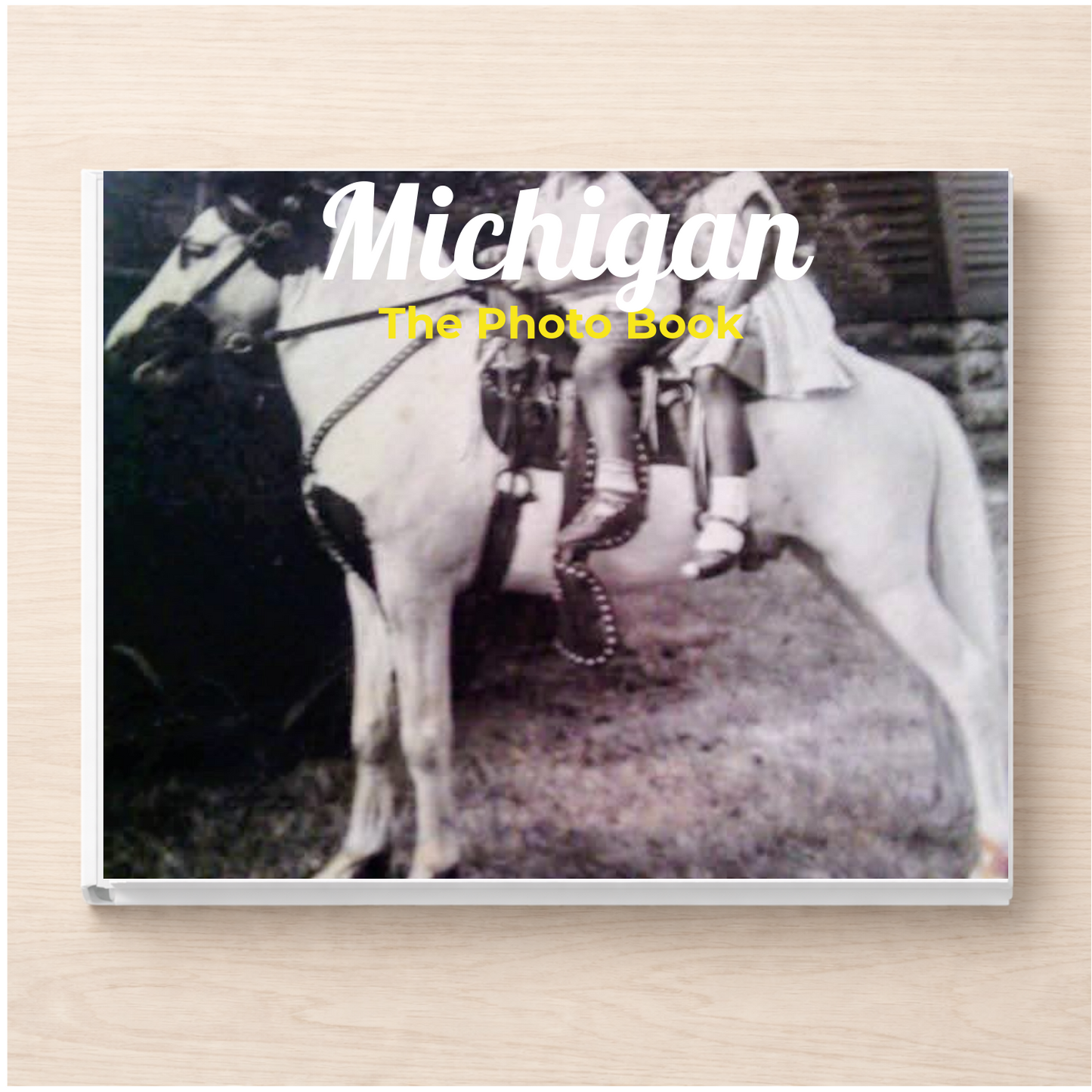Michigan: The Photo Book