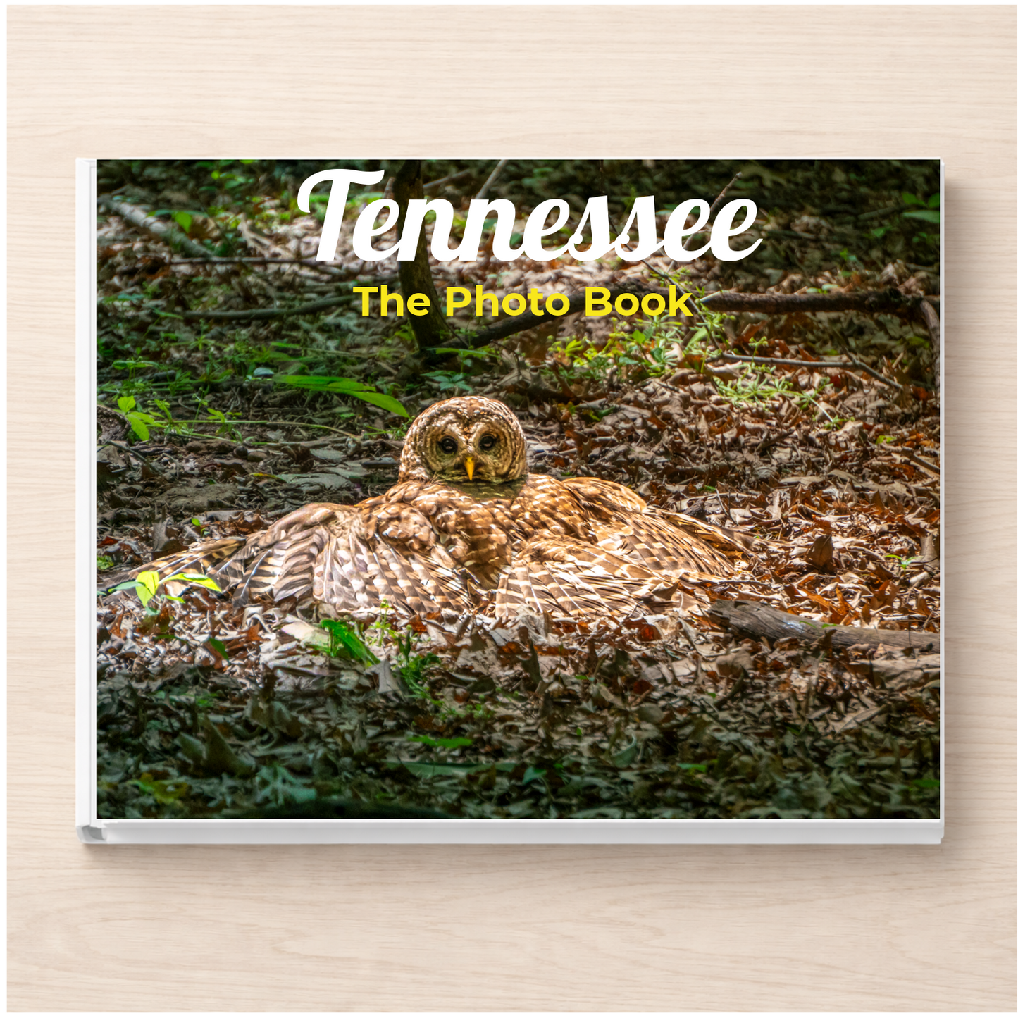 Tennessee: The Photo Book