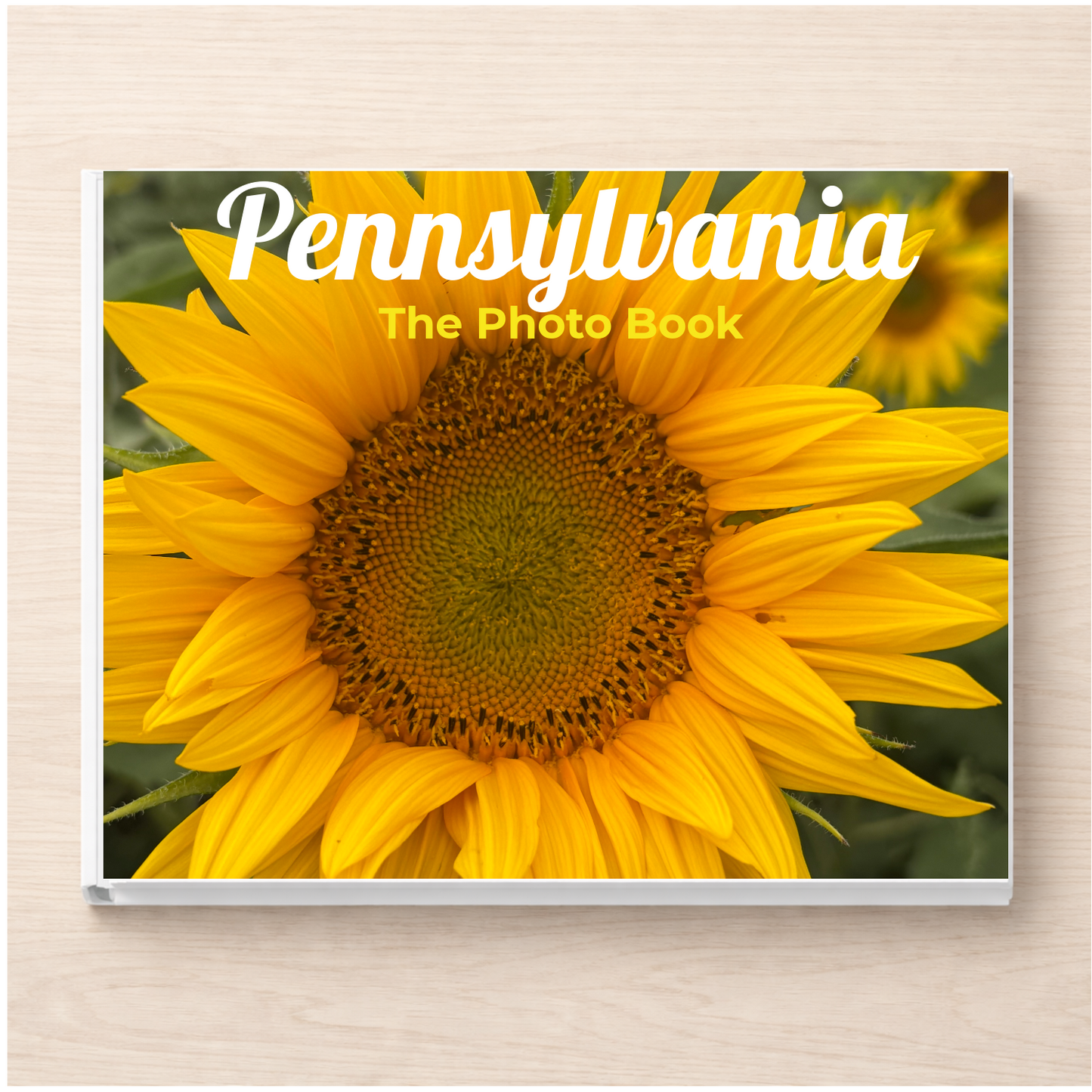Pennsylvania: The Photo Book