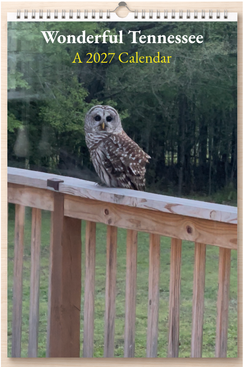 Wonderful Tennessee: A 2027 Calendar