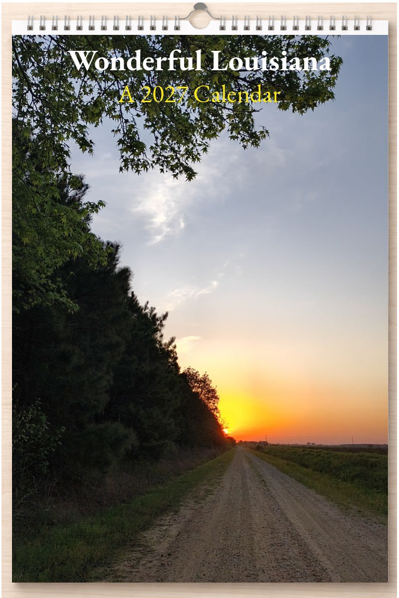 Wonderful Louisiana: A 2027 Calendar