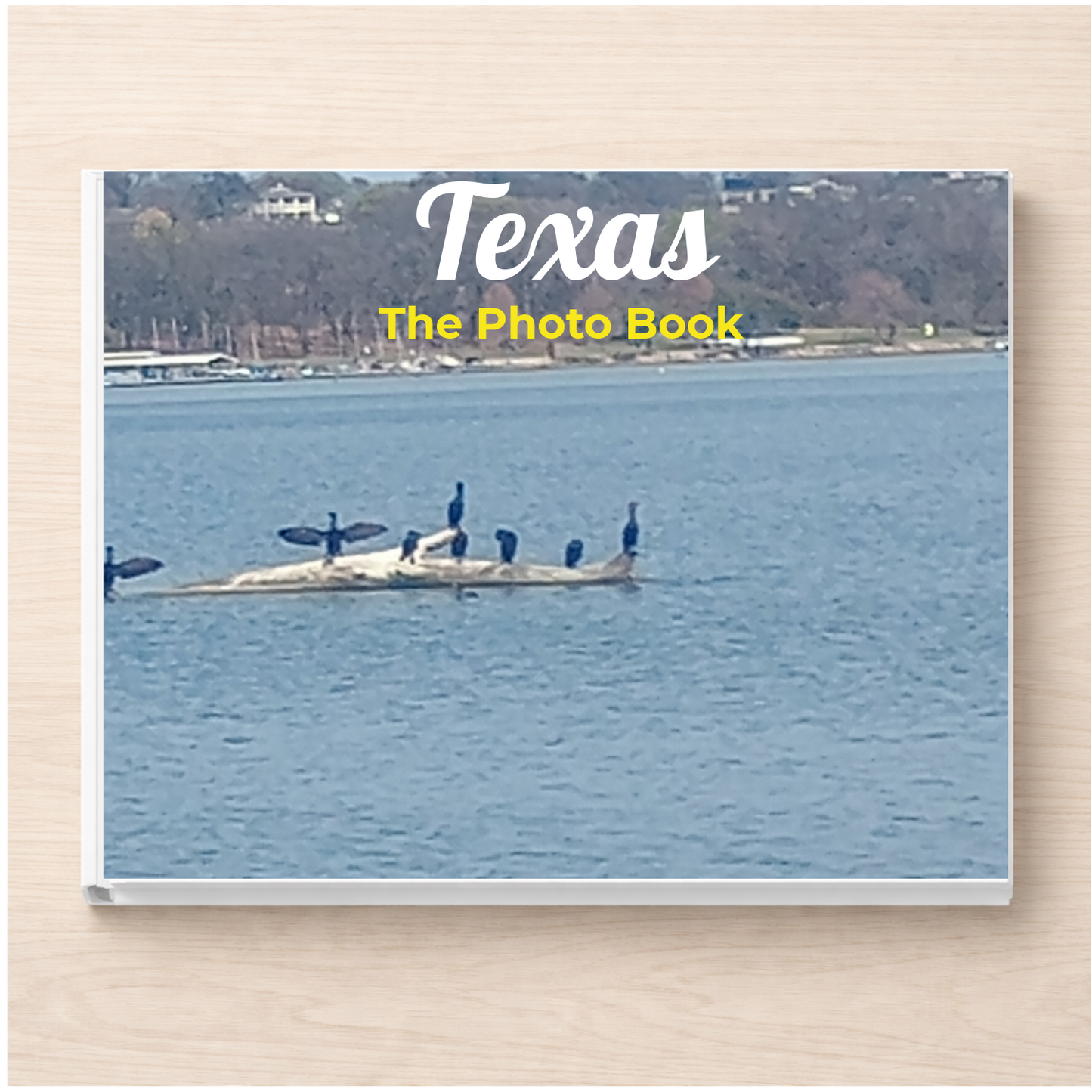 Texas: The Photo Book