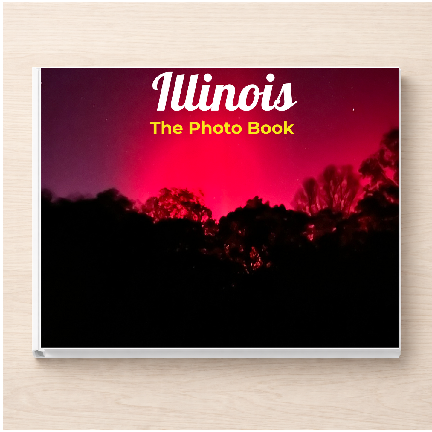 Illinois: The Photo Book