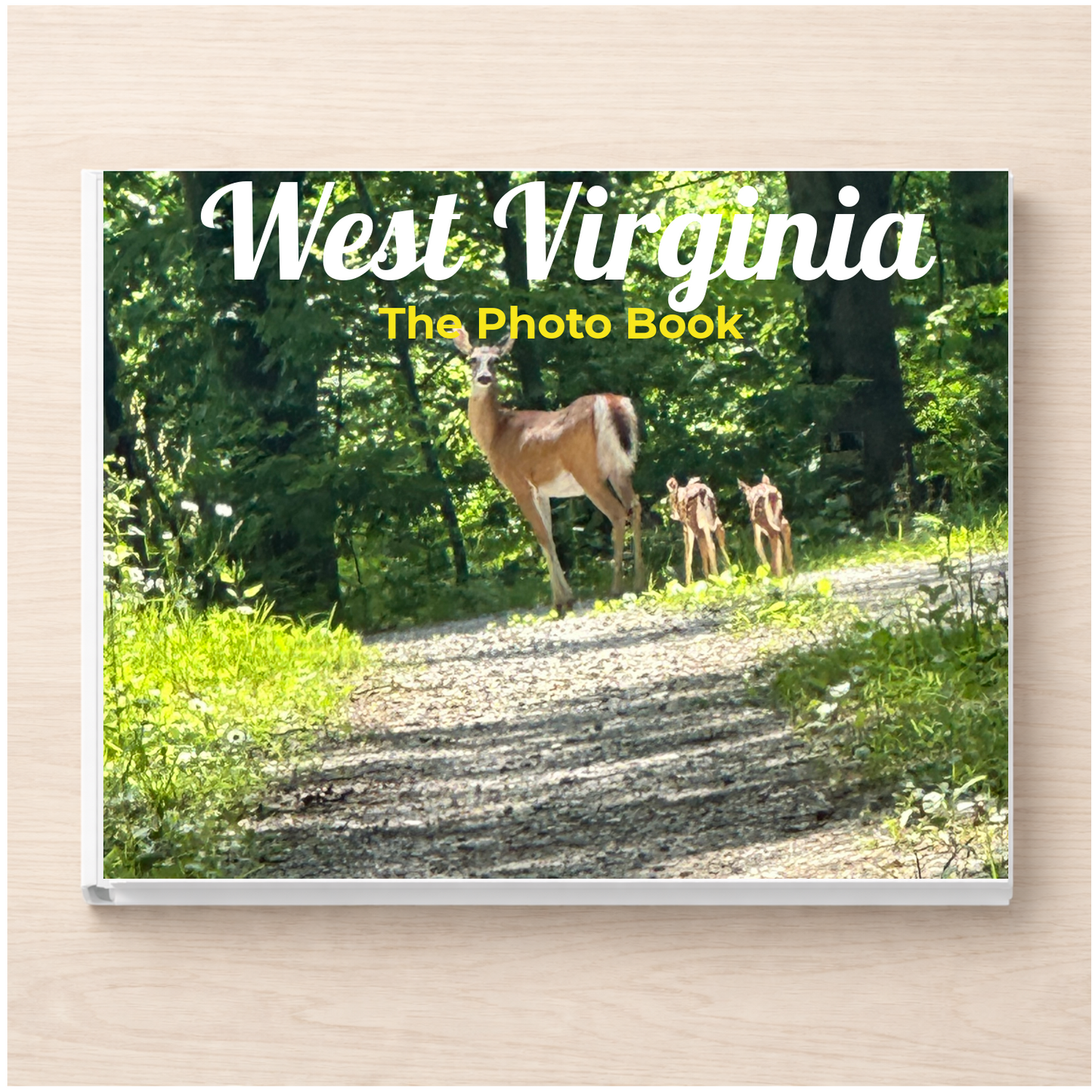 West Virginia: The Photo Book