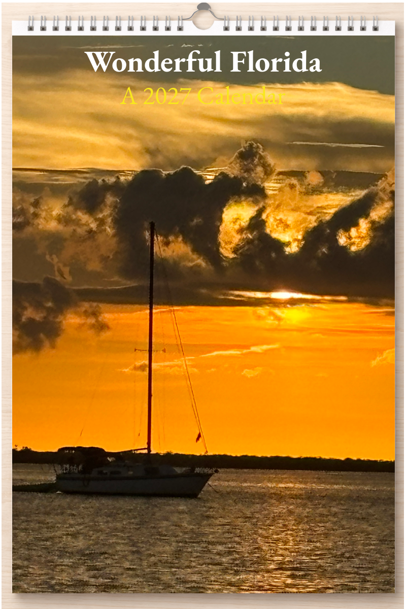 Wonderful Florida: A 2027 Calendar