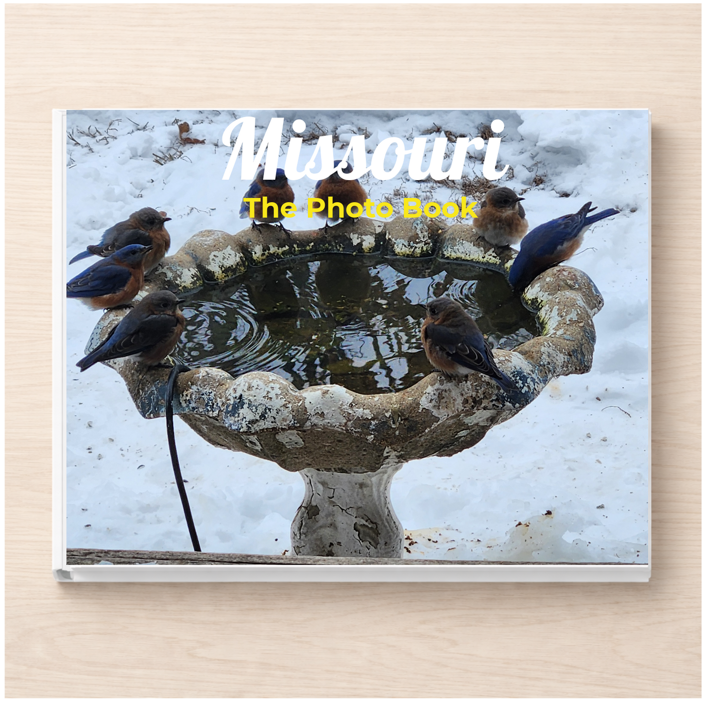 Missouri: The Photo Book