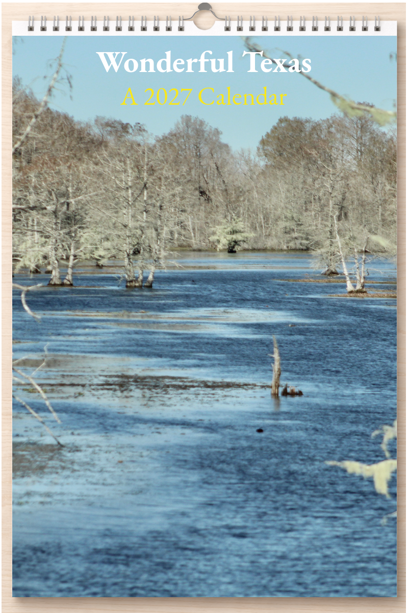 Wonderful Texas: A 2027 Calendar