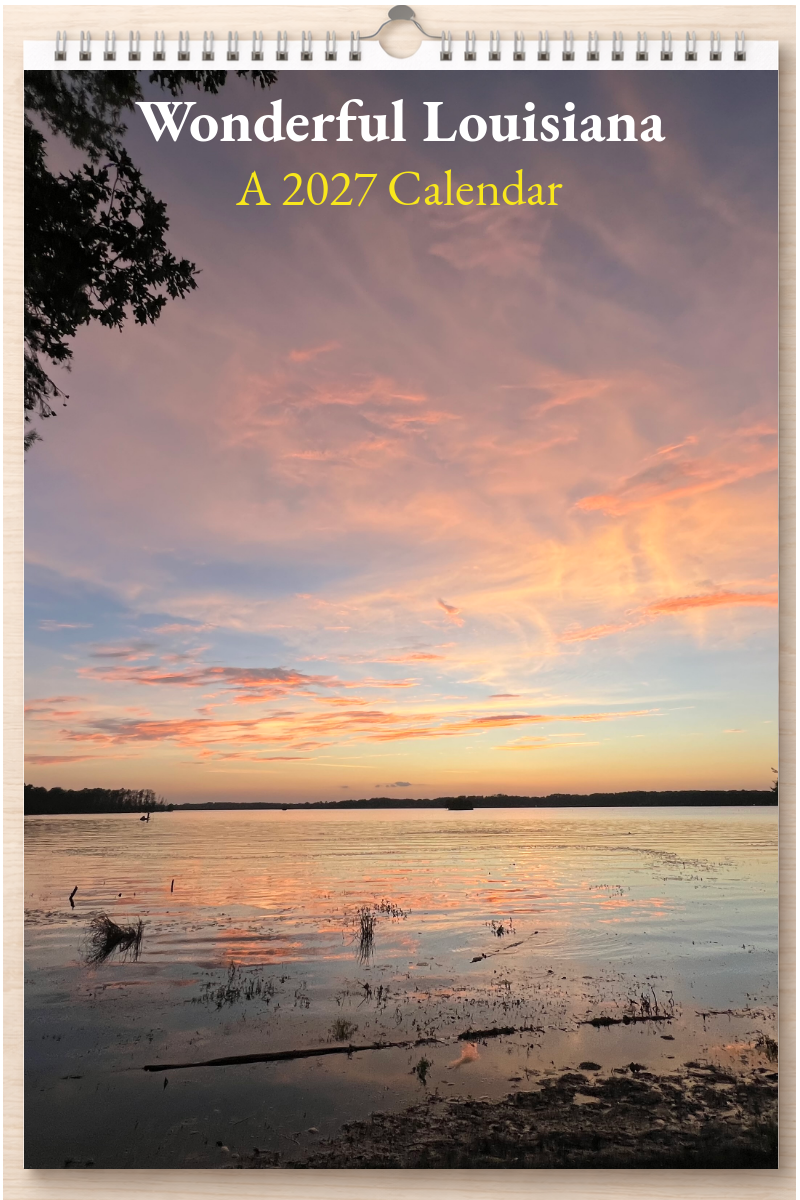 Wonderful Louisiana: A 2027 Calendar