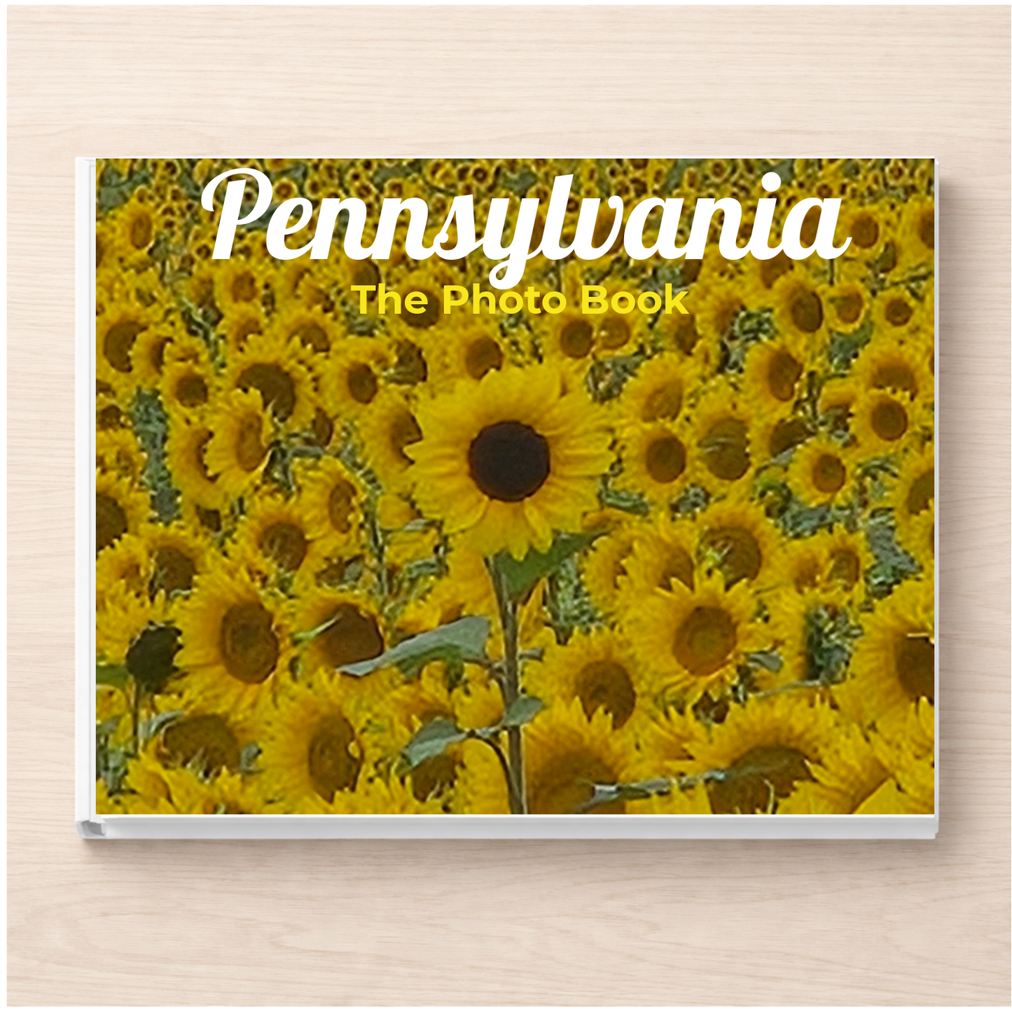 Pennsylvania: The Photo Book