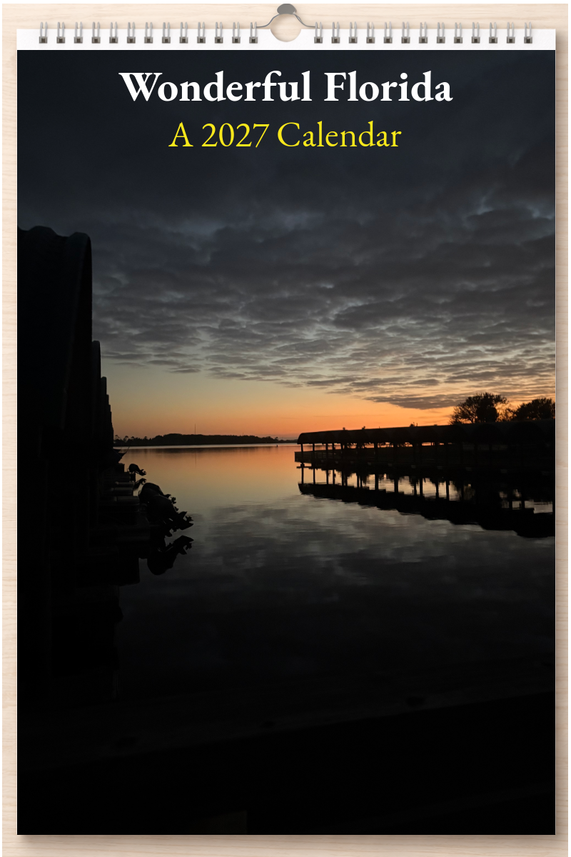 Wonderful Florida: A 2027 Calendar