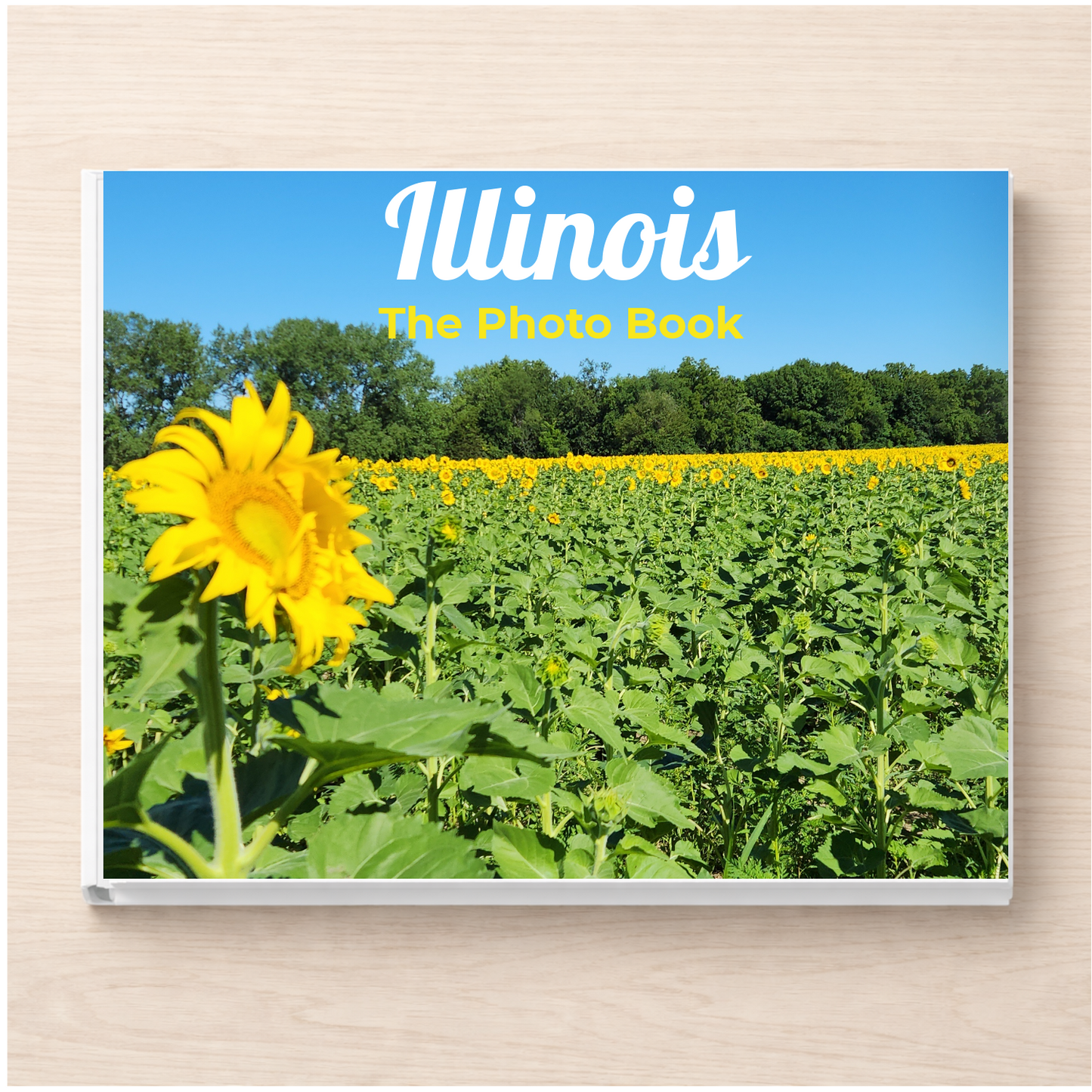 Illinois: The Photo Book