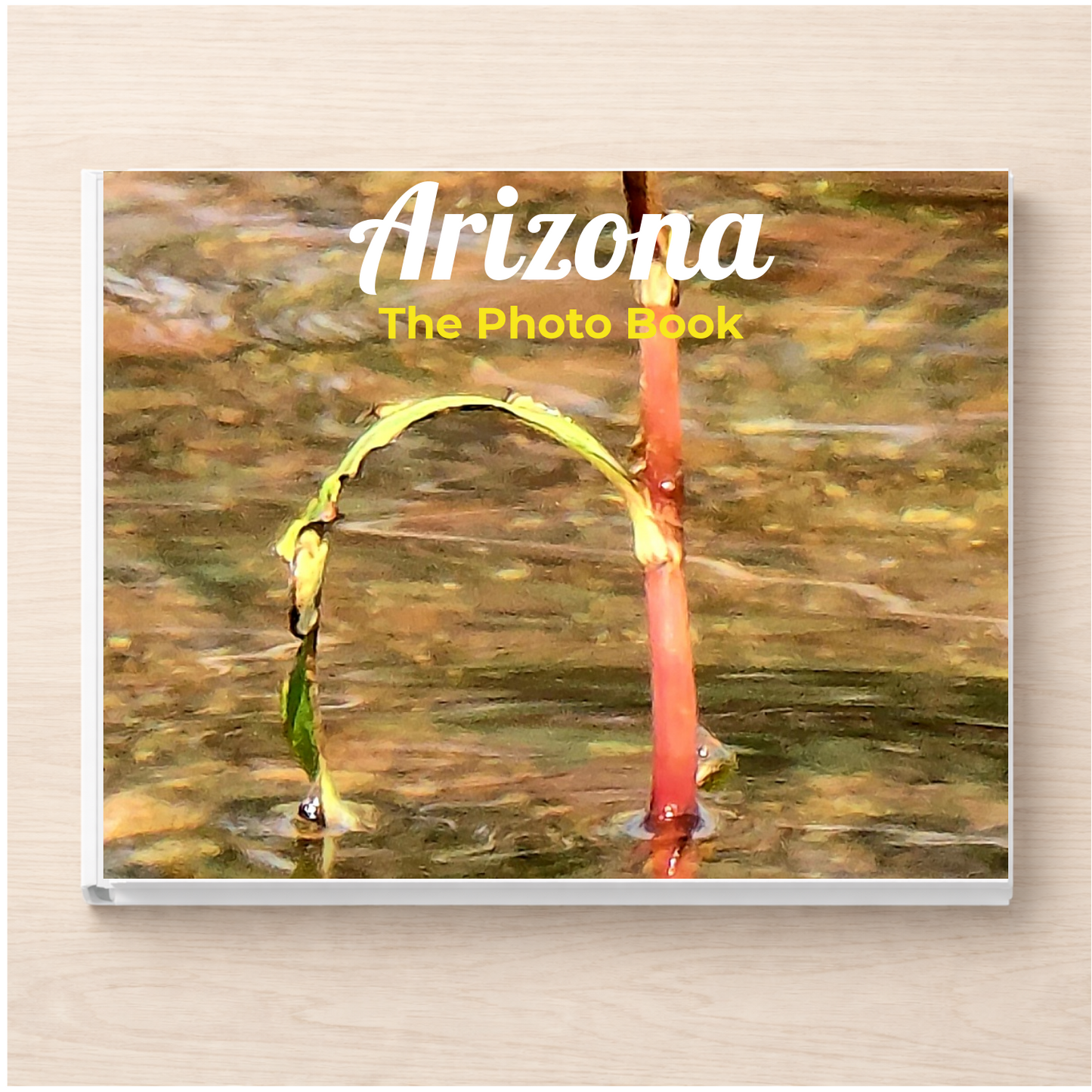 Arizona: The Photo Book