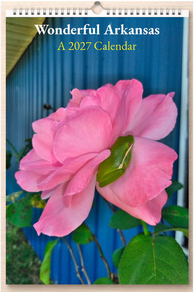 Wonderful Arkansas: A 2027 Calendar