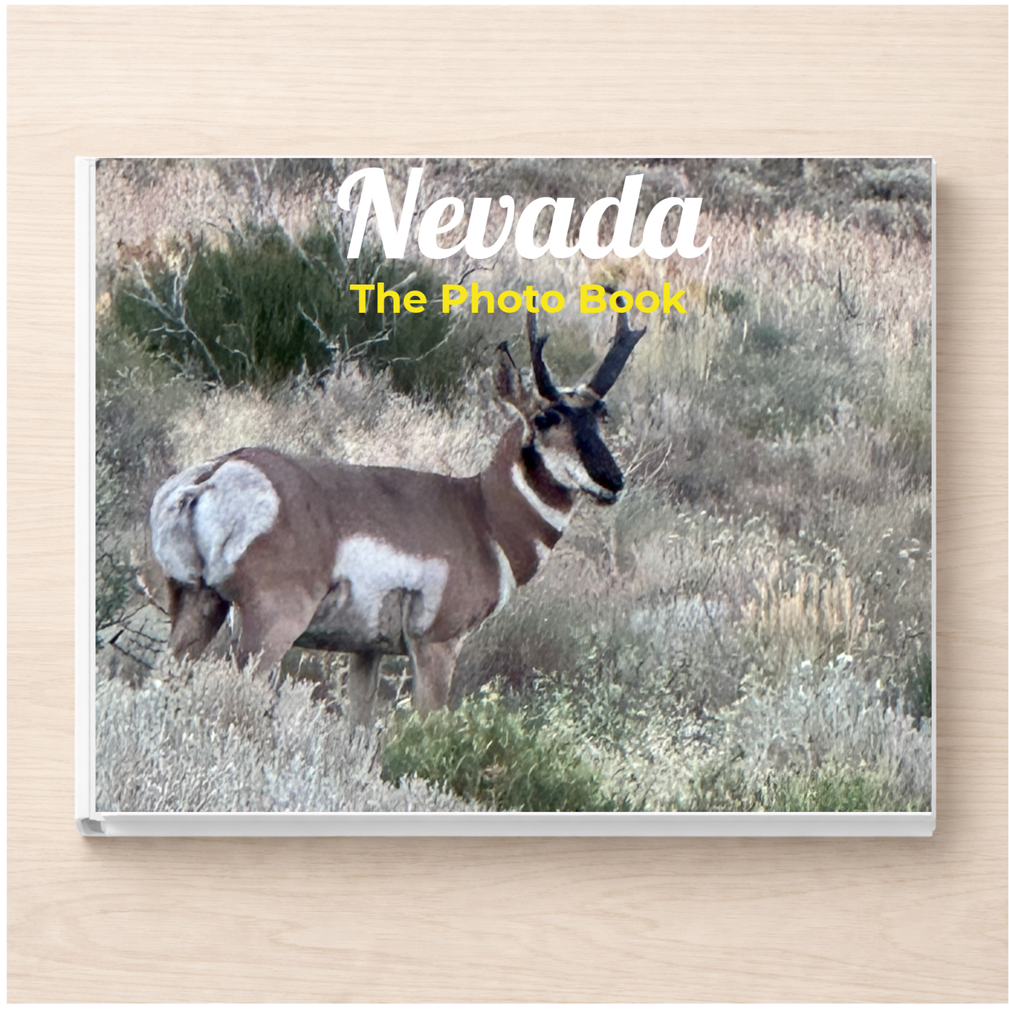 Nevada: The Photo Book