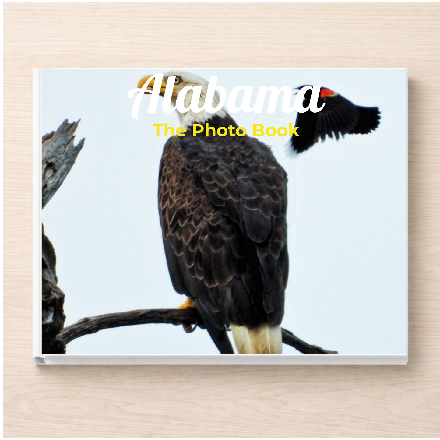 Alabama: The Photo Book