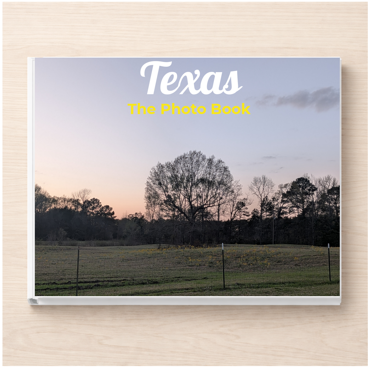 Texas: The Photo Book