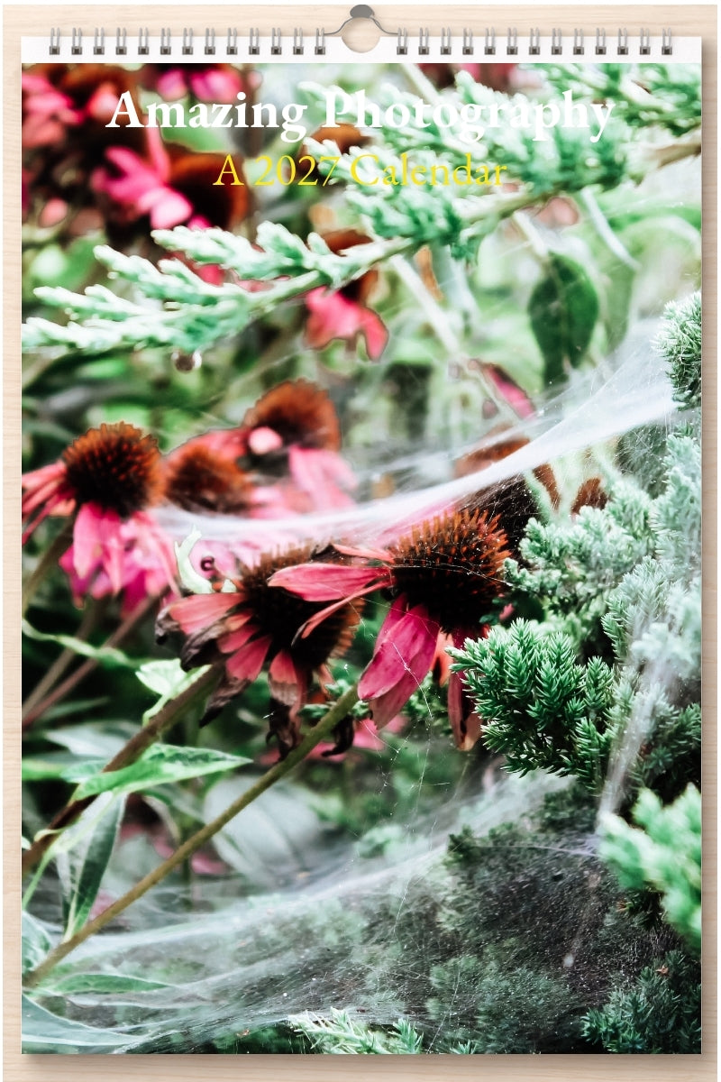 Amazing Photography: A 2027 Calendar