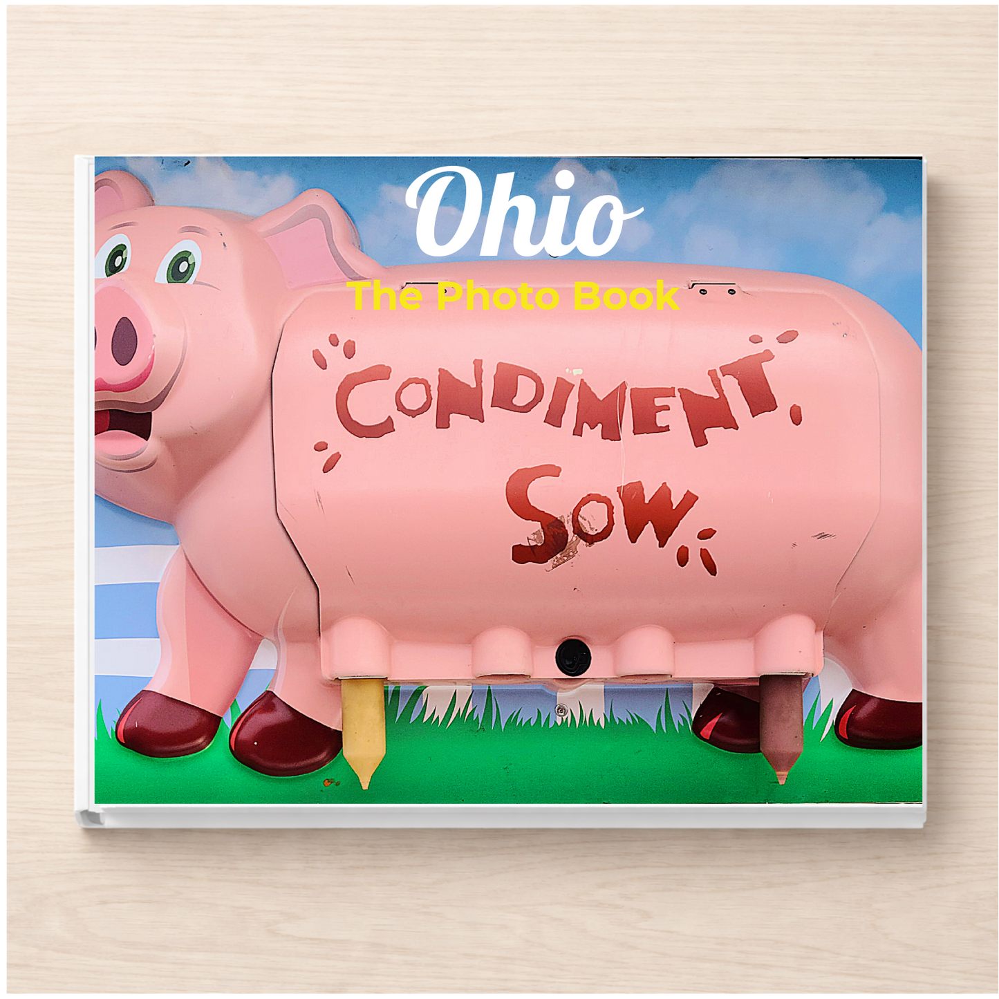 Ohio: The Photo Book