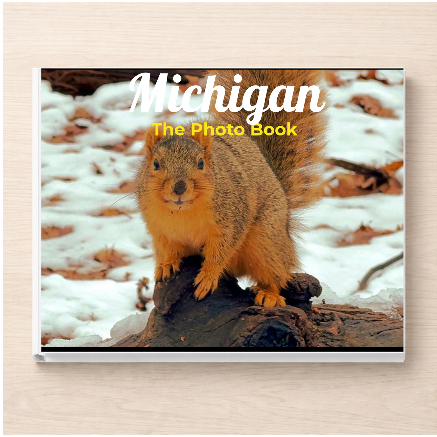 Michigan: The Photo Book