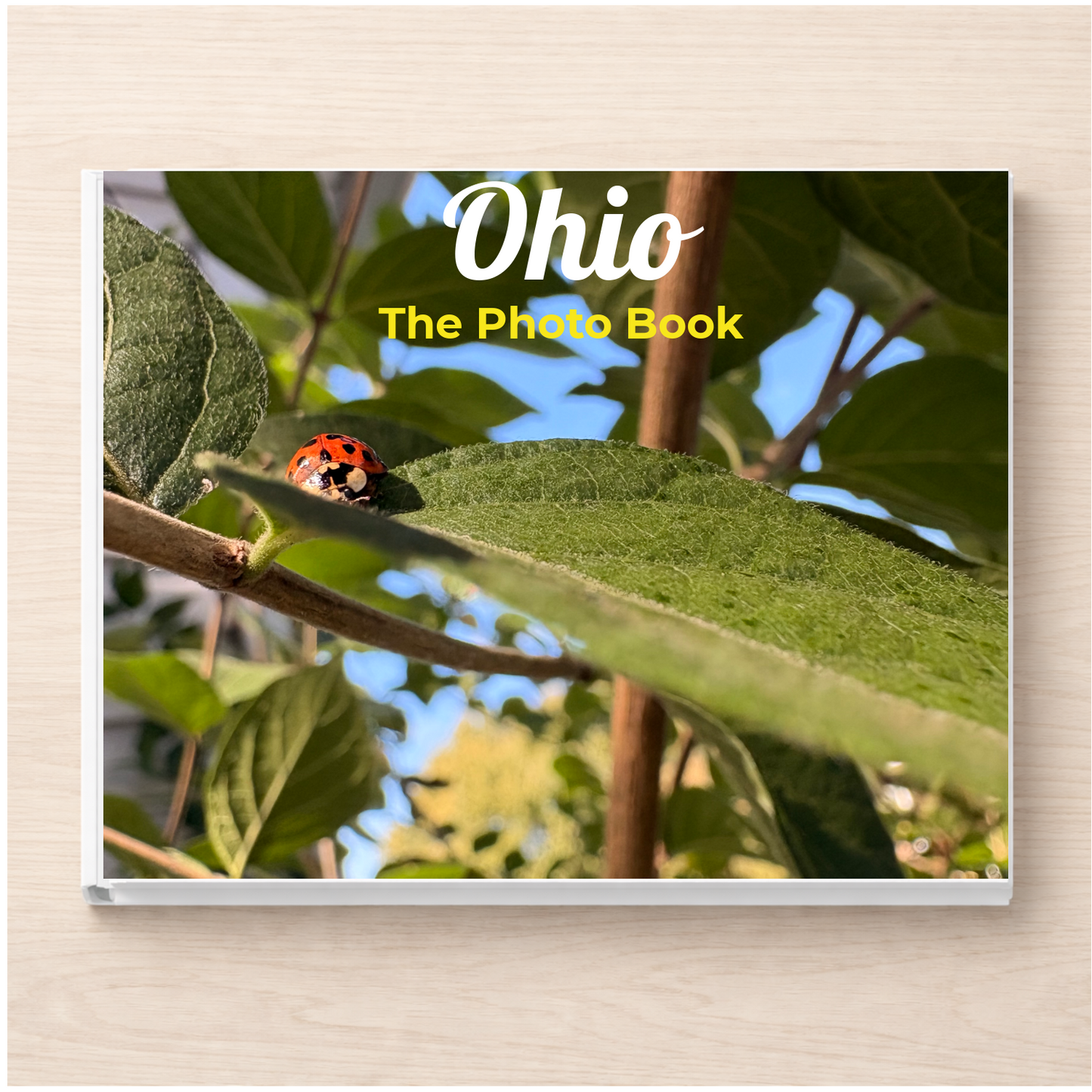 Ohio: The Photo Book
